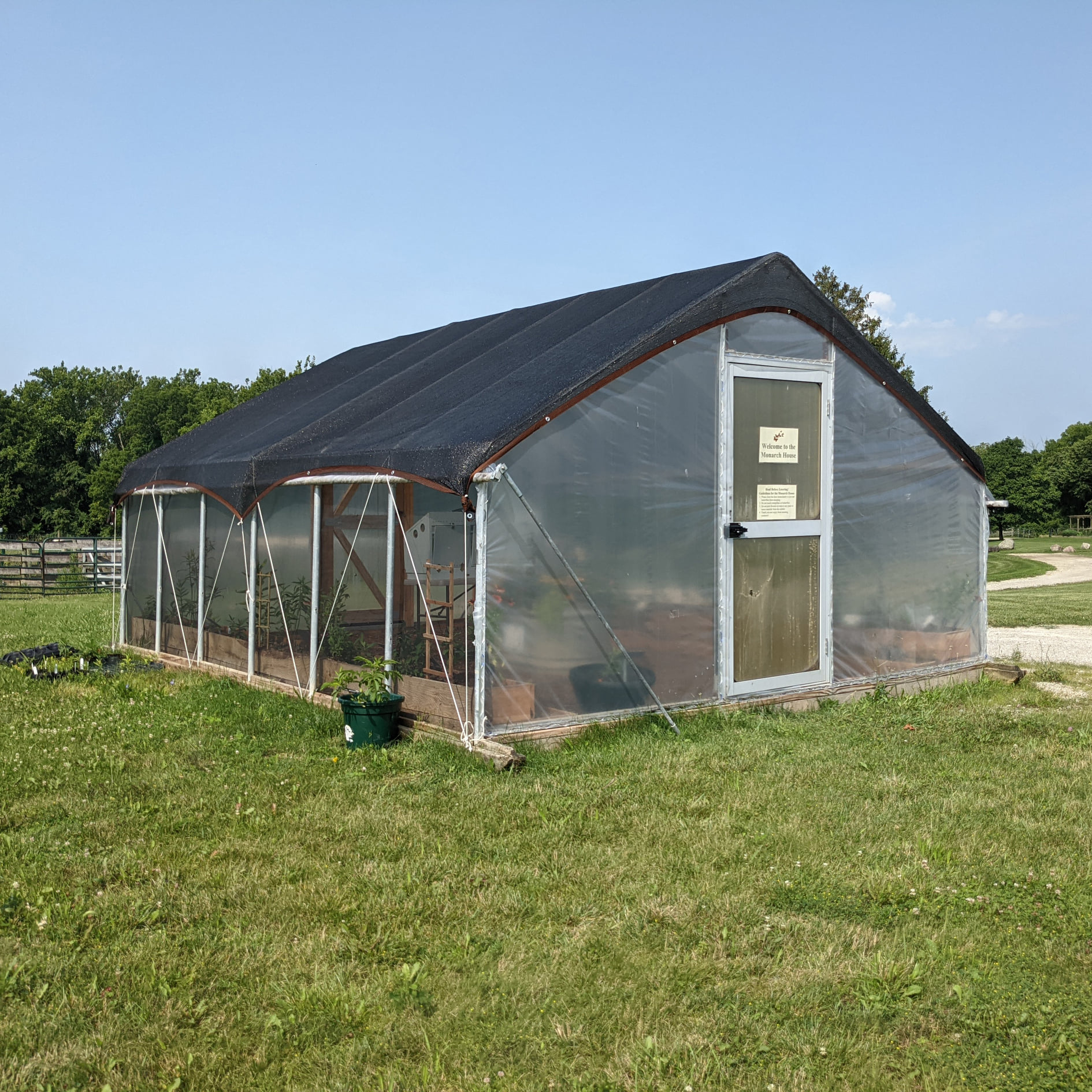 A crop of butterflies will hatch in Aullwood Audubon’s new Monarch House. It is filled with nectar flowers and a dozen types of milkweed plants – native and exotic species – and is home to 35 caterpillars. CONTRIBUTED PHOTO / AULLWOOD AUDUBON