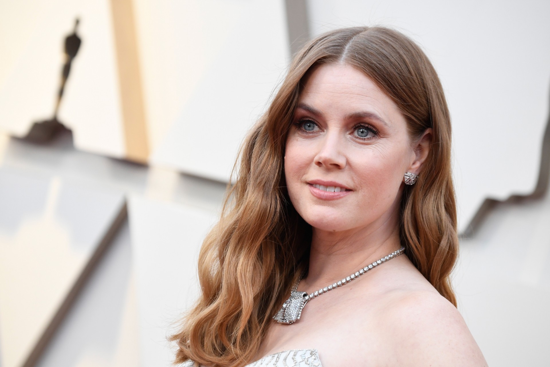 Amy Adams signed to star in Hillbilly Elegy movie