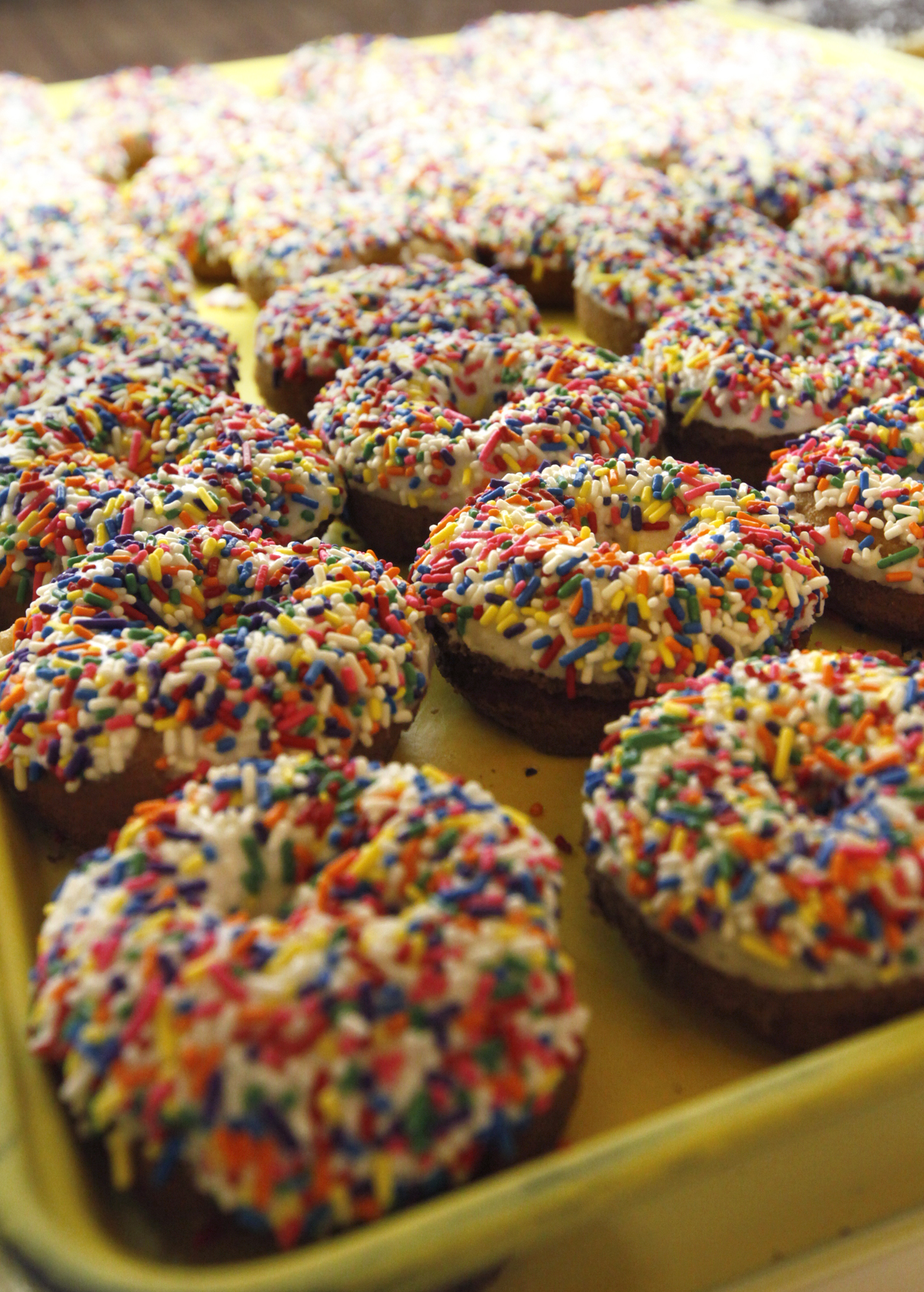 Bill's Donut Shop sprinkled doughnuts ready for customers on Wednesday, February 27, 2013 in Centerville. TY GREENLEES / STAFF