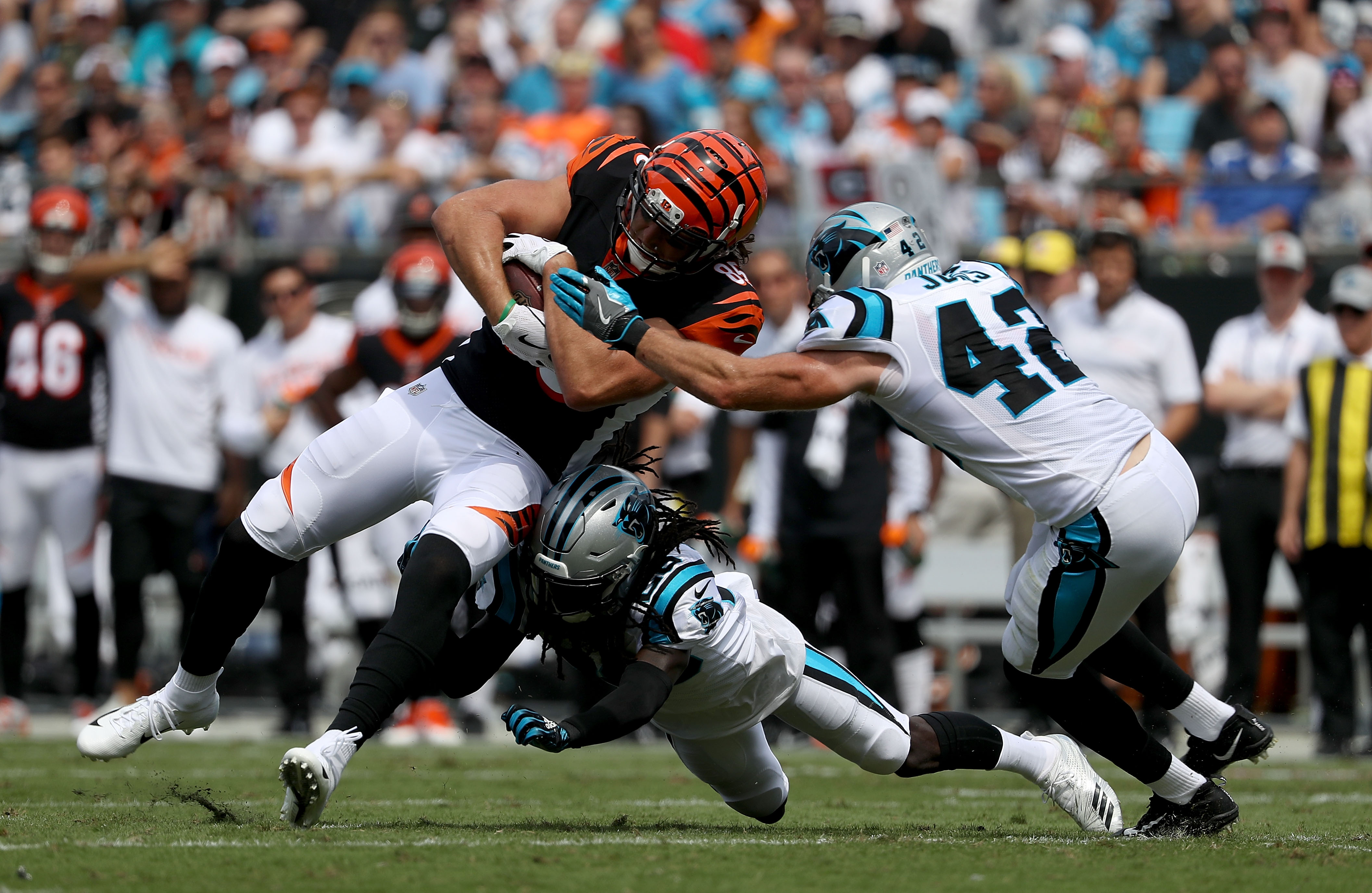 Cincinnati Bengals Report Card: Grading the loss to the Jaguars