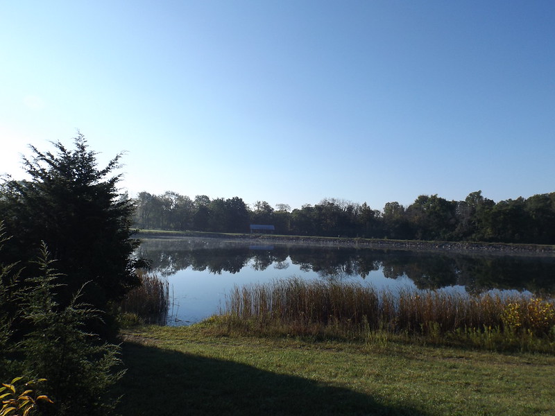 Wild Yoga - Connecting your yoga with thee natural held will be held at Possum Creek MetroPark. CONTRIBUTED