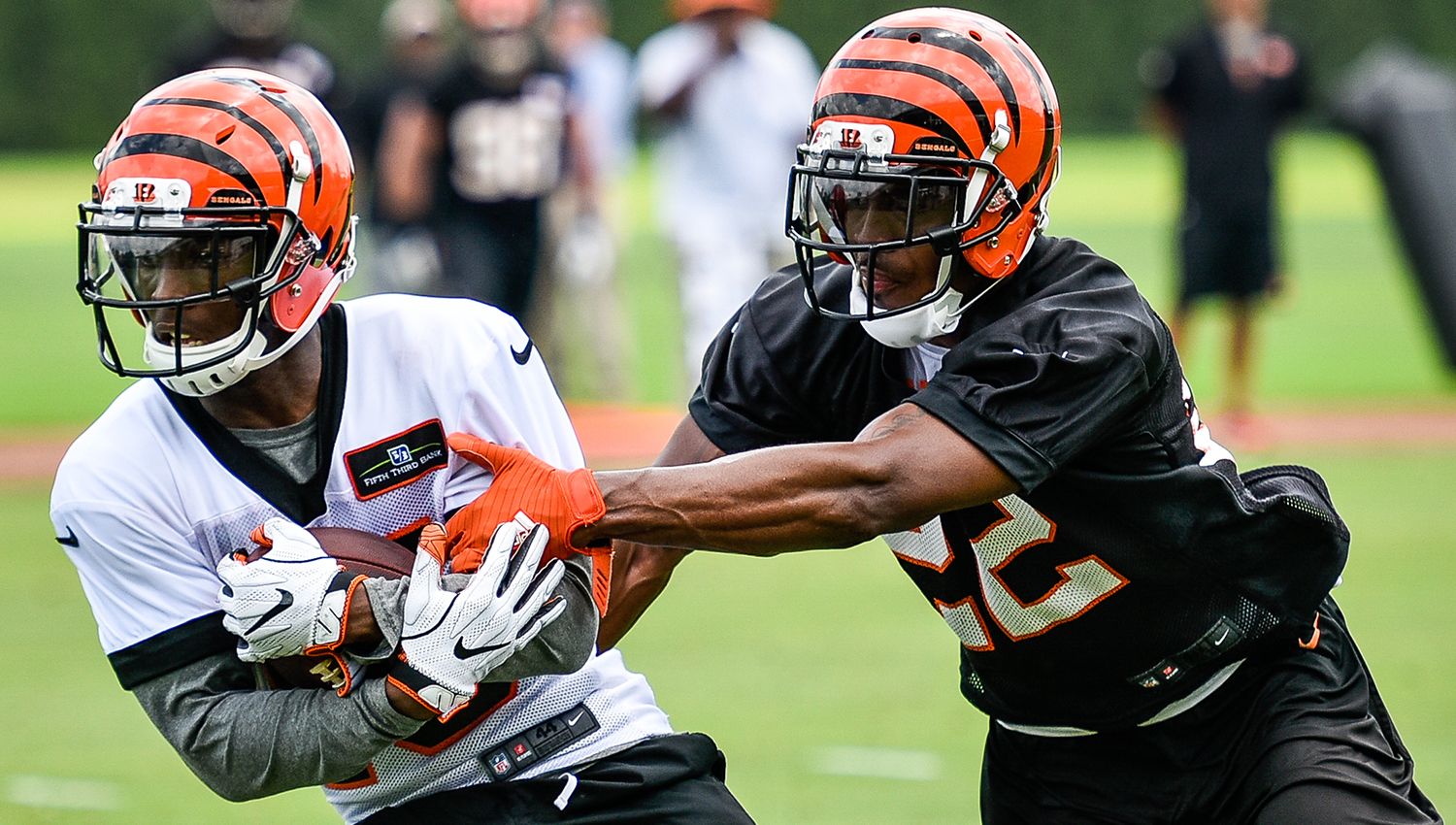 Marvin Lewis says John Ross let the Bengals down 