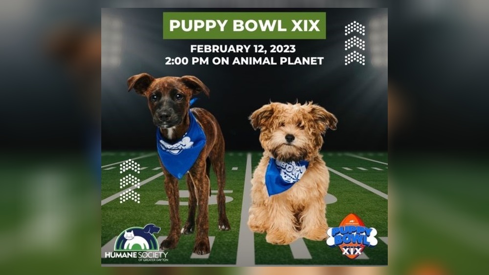 what time is the puppy bowl 2018