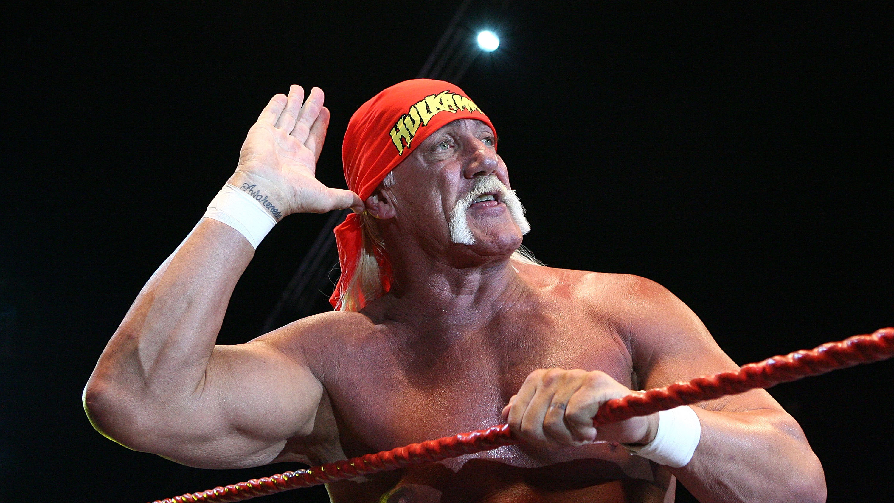 Months after Hulk Hogan sex tape verdict, Gawker to shut down picture