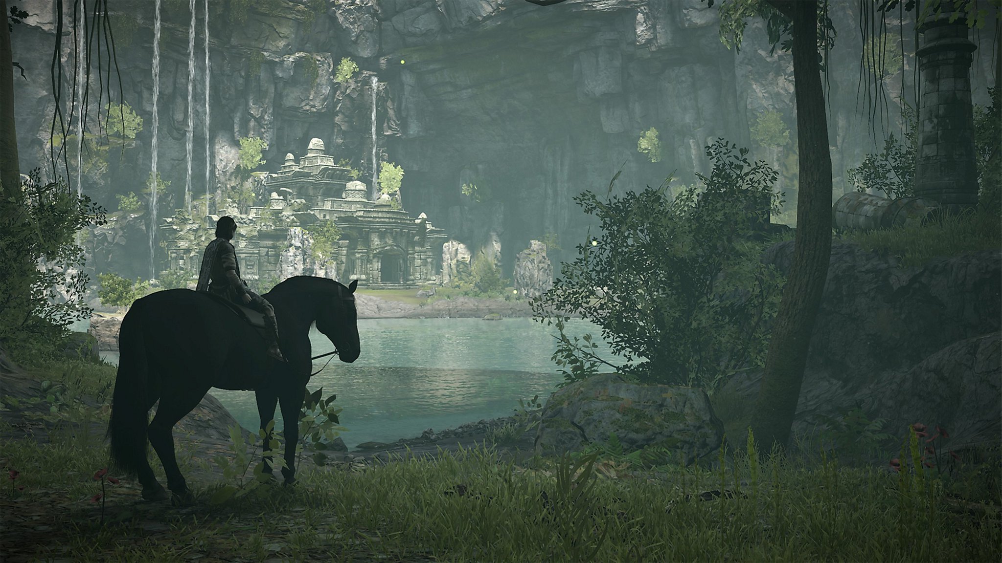 Shadow of Colossus' resolutions to dig into details