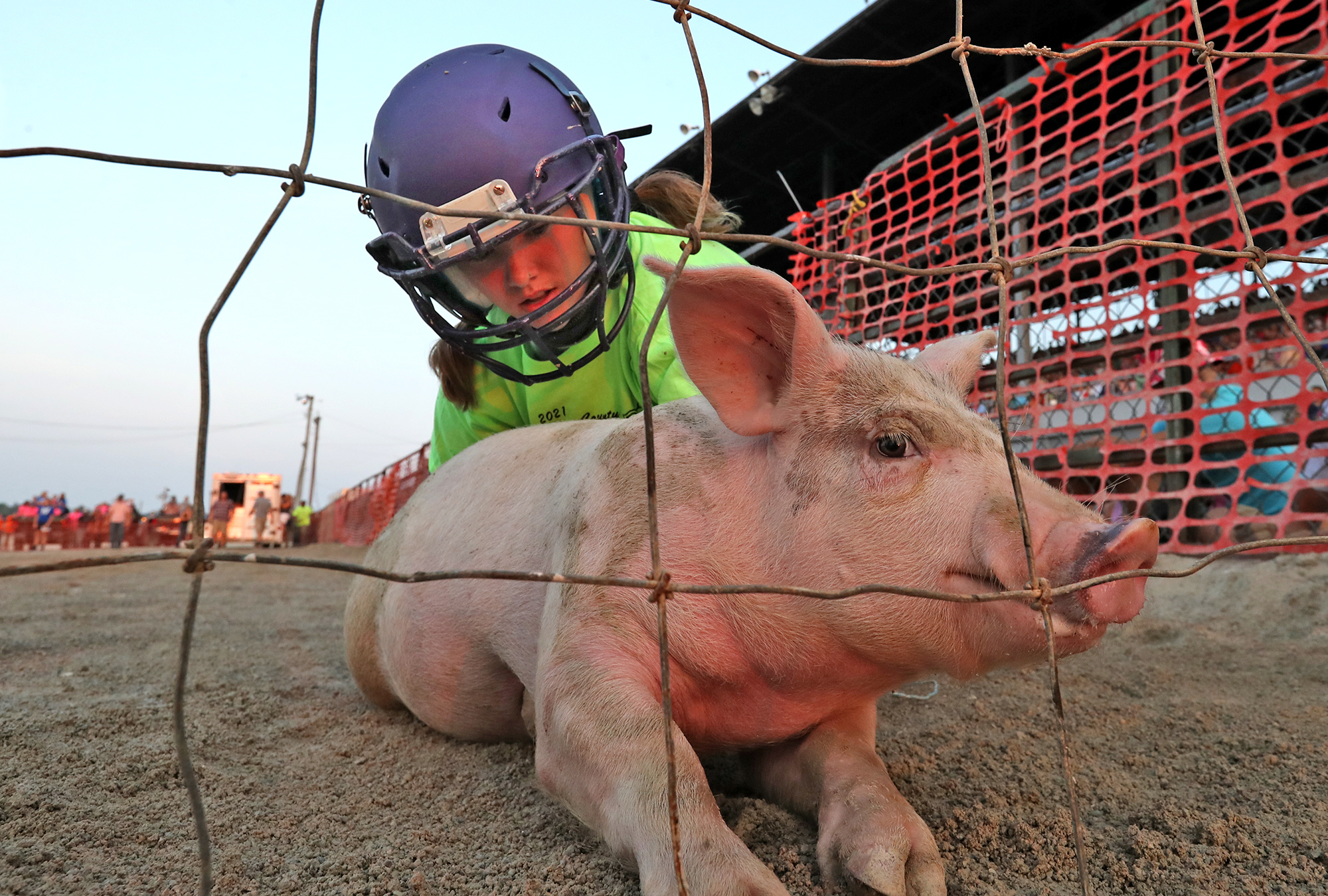 Young women chase pigs through the mud as they compete in the Pig Scramble at the Champaign County Fair.  BILL LACKEY/STAFF