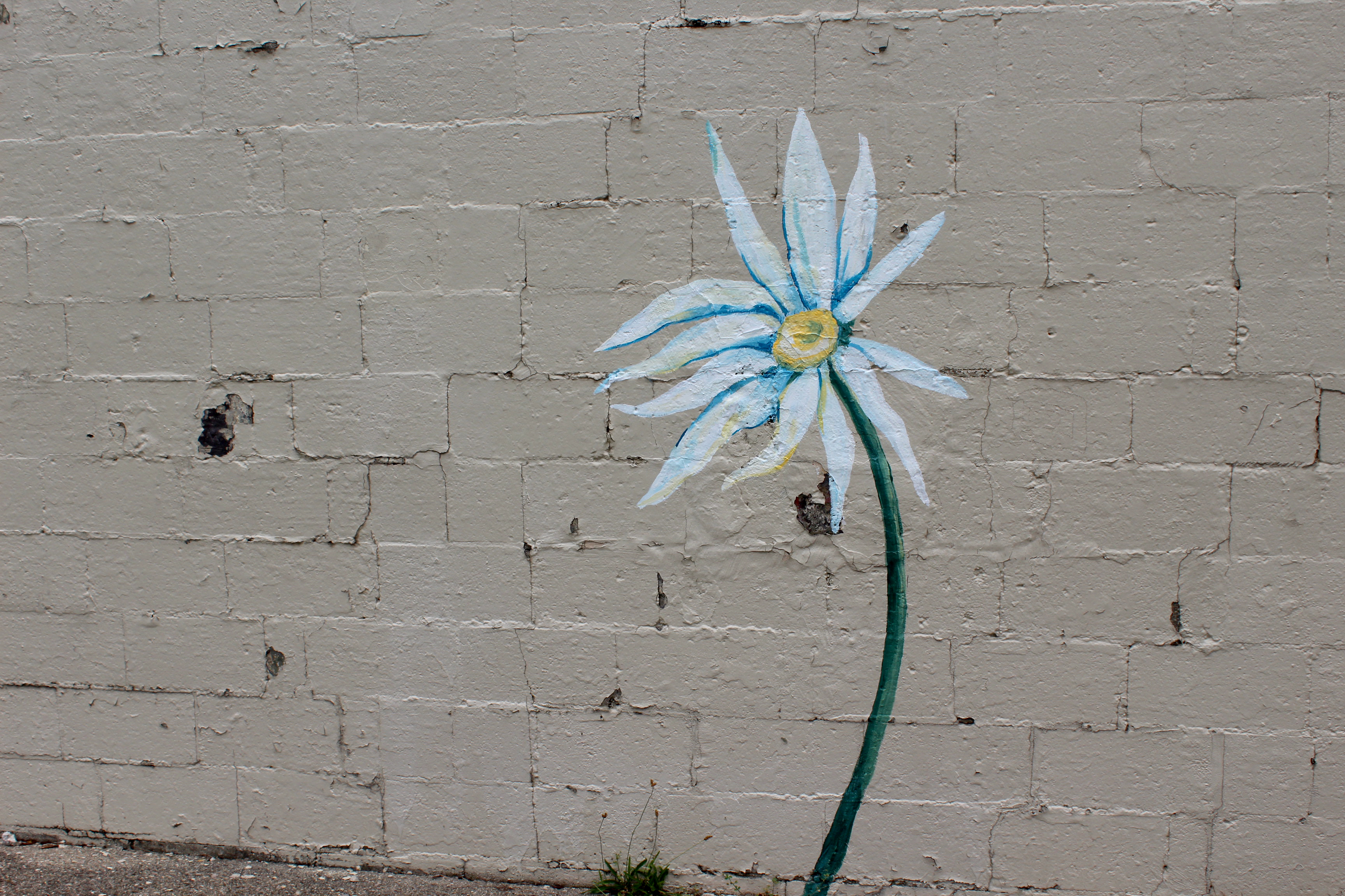 The Mural Machine and Belmont Eastmont Hearthstone Community Council are partnering for the The Mural Painting Party in the Park. Flowers will be added to an old kiddy pool and the park's shelter.