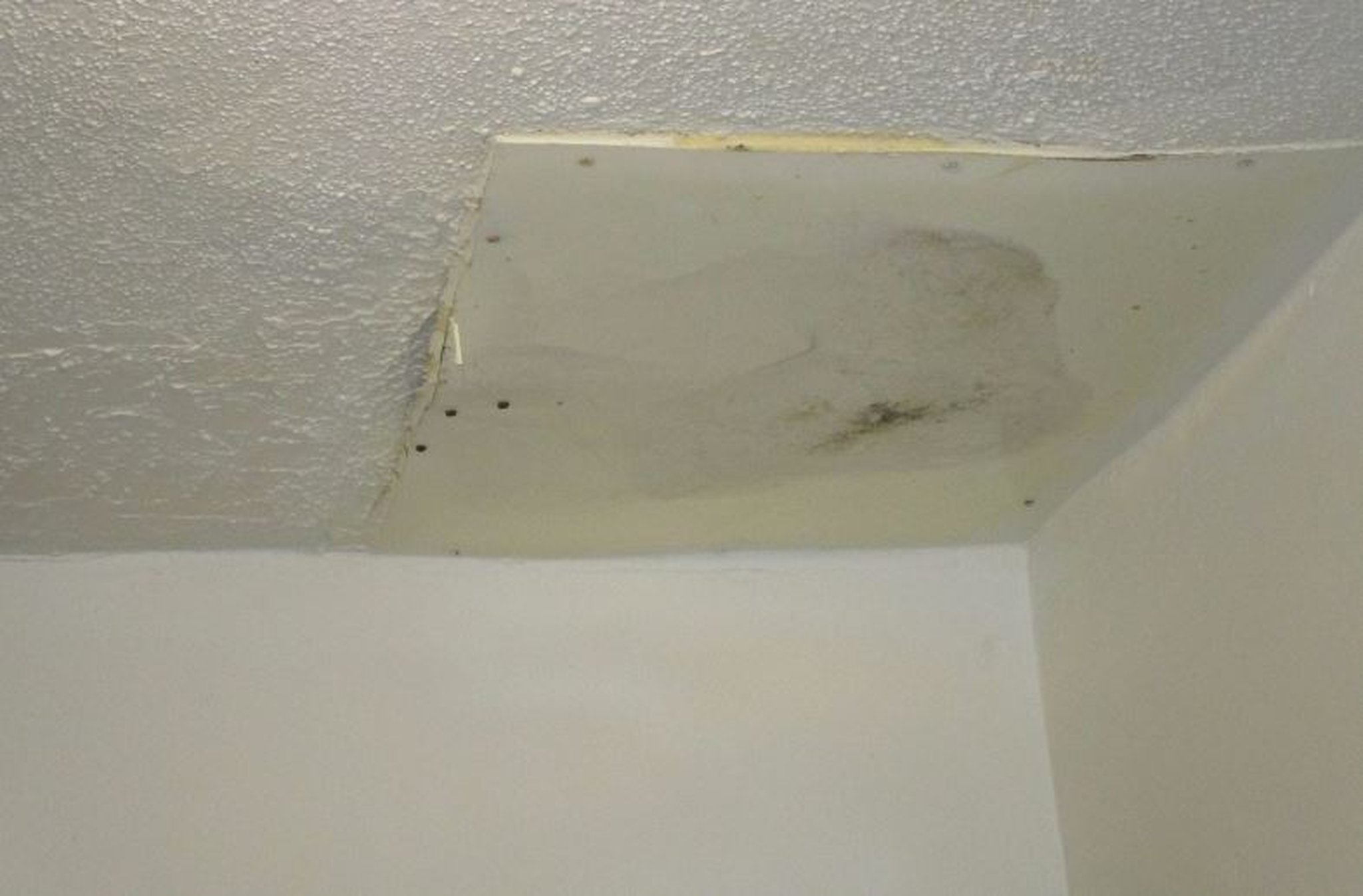 This is one of several photos Hamilton City Council members considered in committee while developing legislation that would require landlords to register the apartments they lease out so the dwelling units can be inspected. PROVIDED