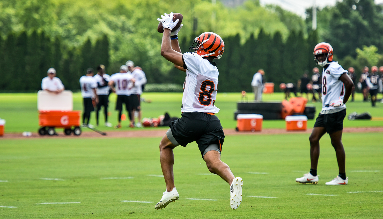 Bengals fans living in Kansas City still hold season tickets, ready for AFC  Championships