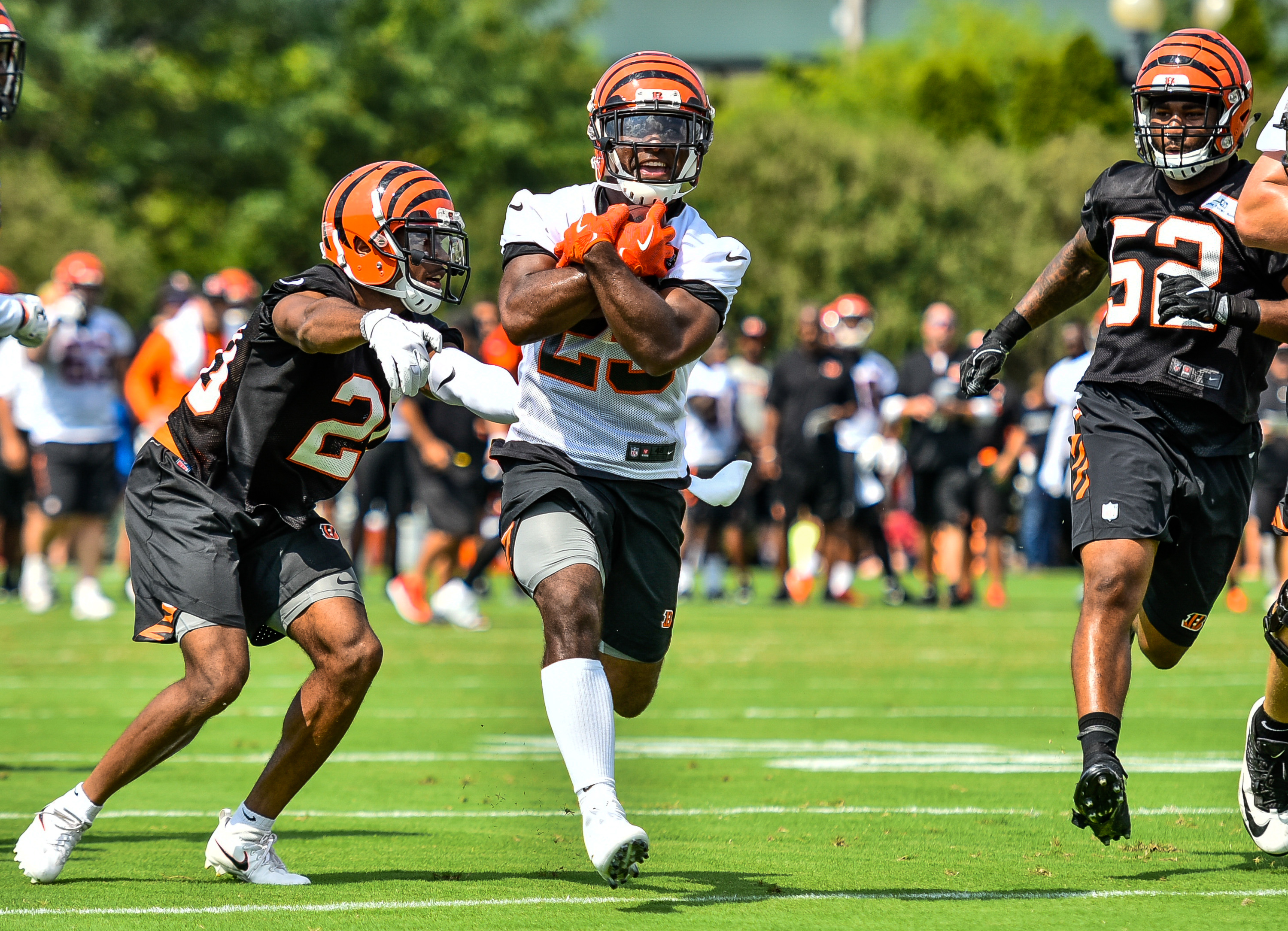 Is Bengals training camp open to the fans? How to get tickets