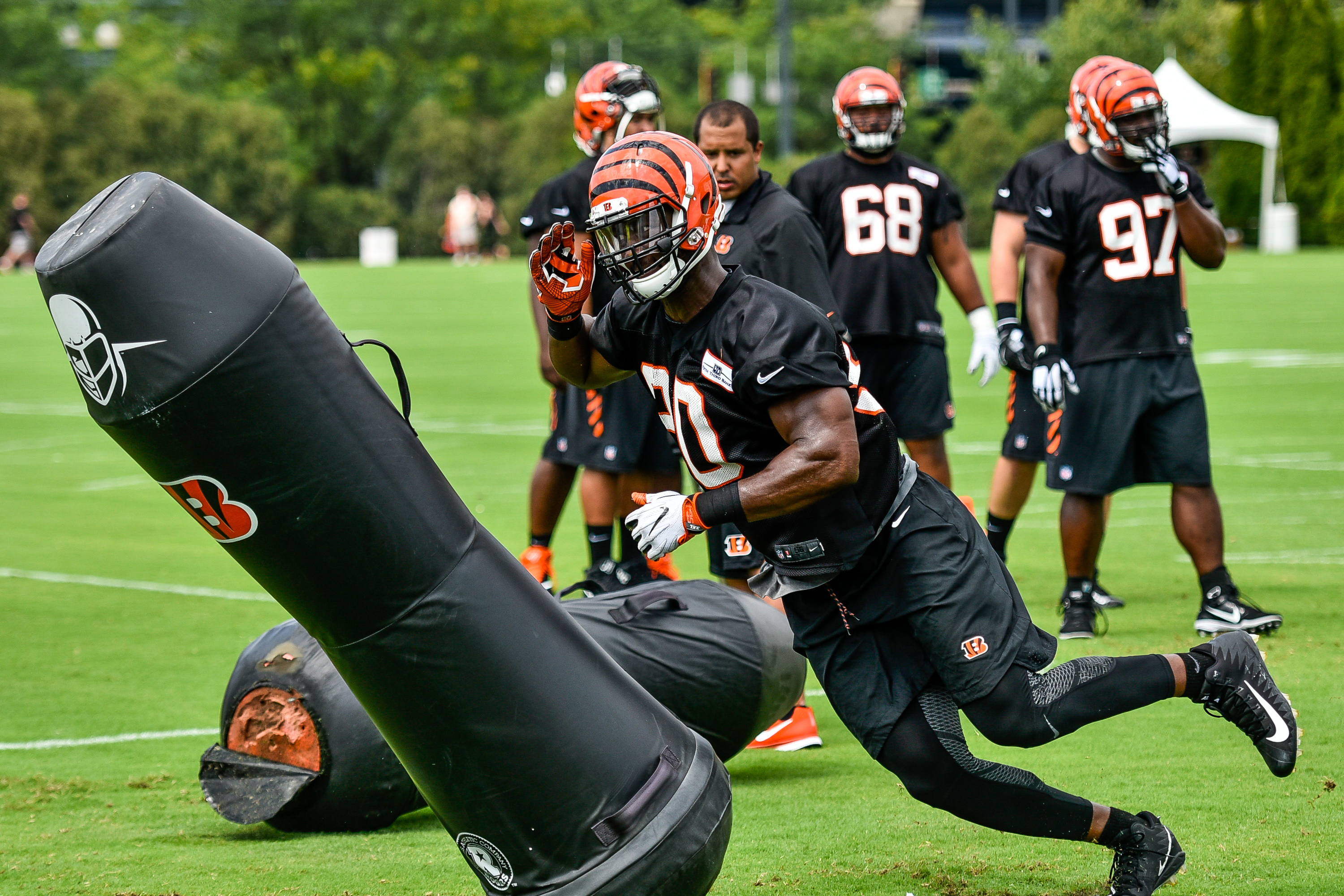 Michael Johnson's Return to Bengals Defensive Line Is a Win-Win for  Cincinnati, News, Scores, Highlights, Stats, and Rumors