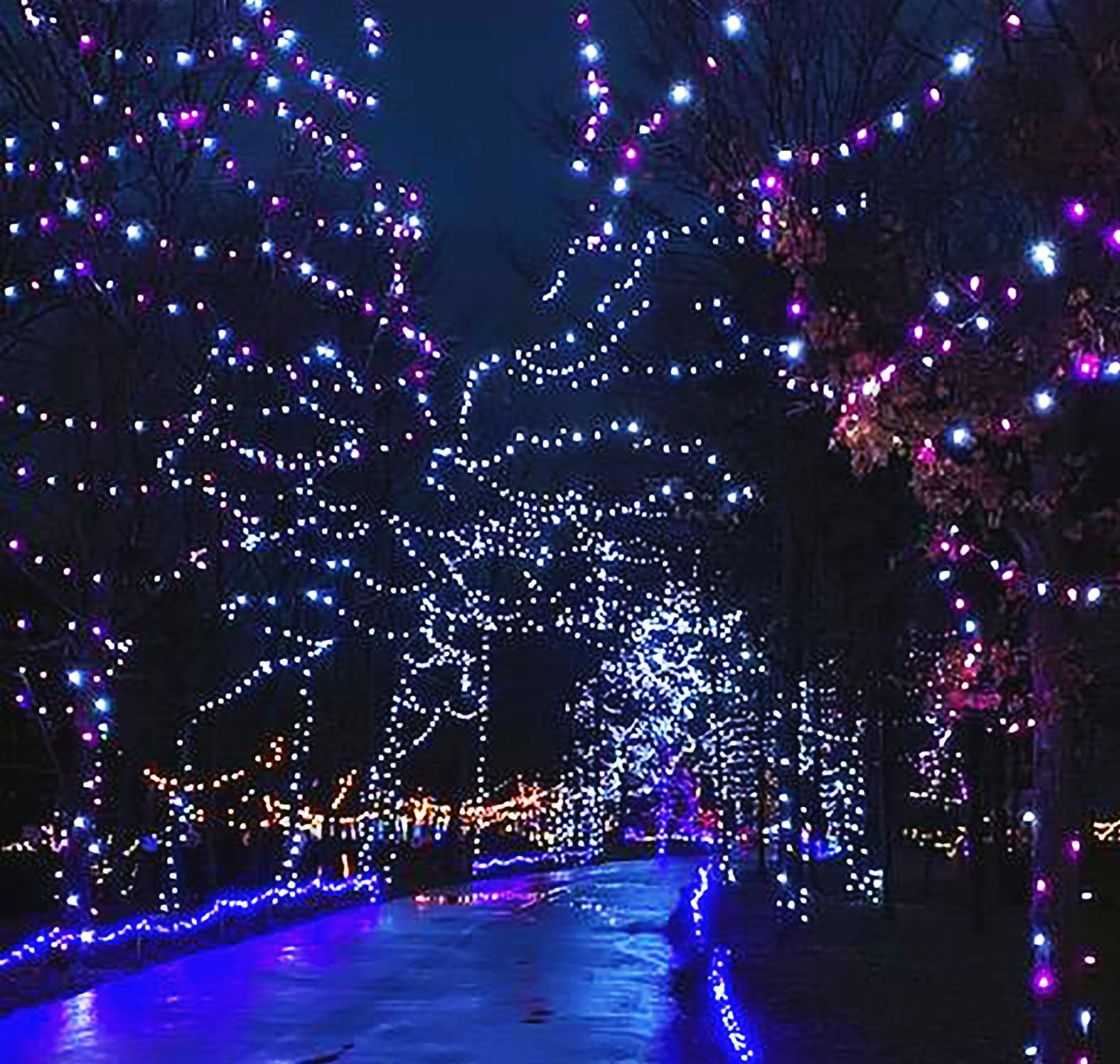 Pyramid Hill drivethrough holiday lights near Cincinnati