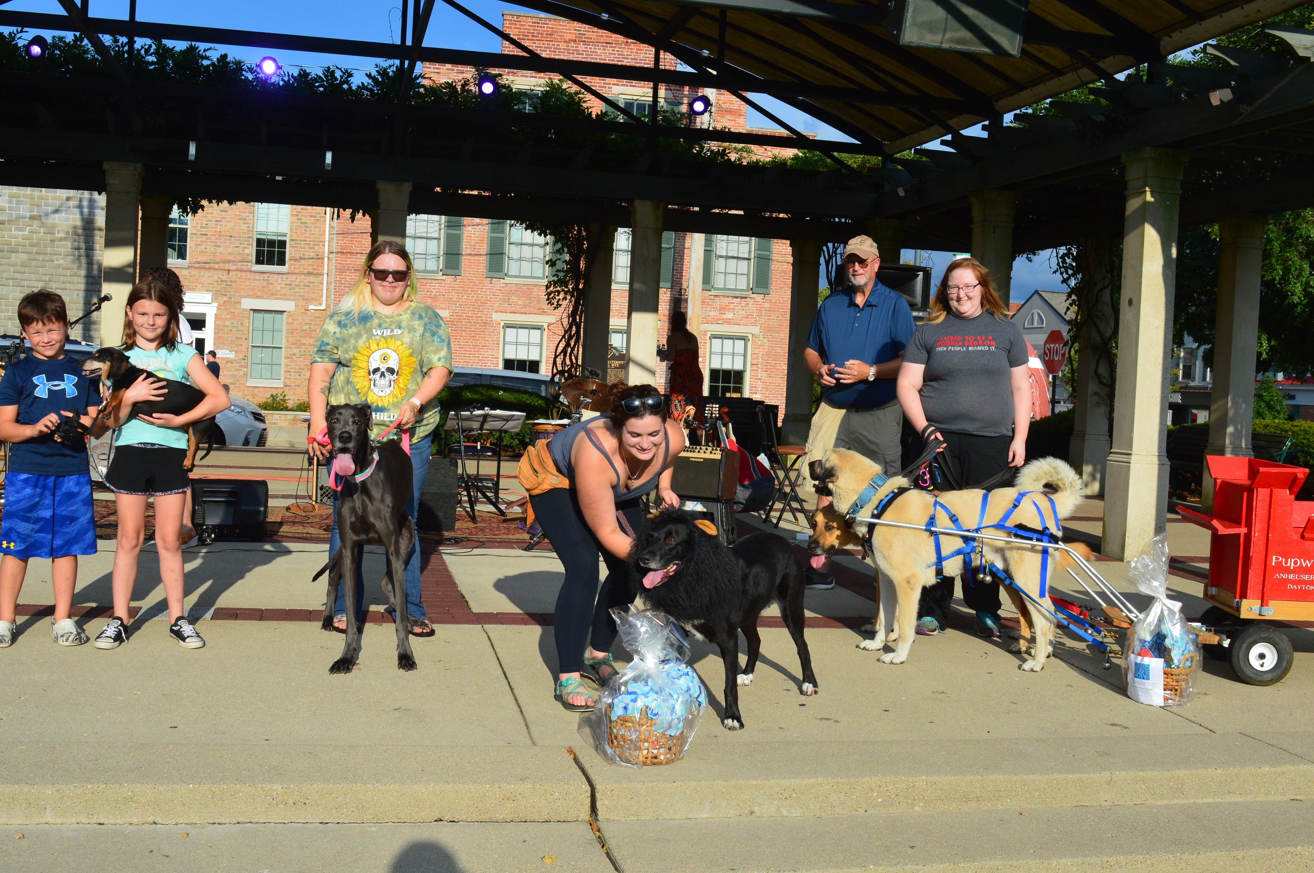 In the dog days of summer, the Cleveland Browns' puppy adoption