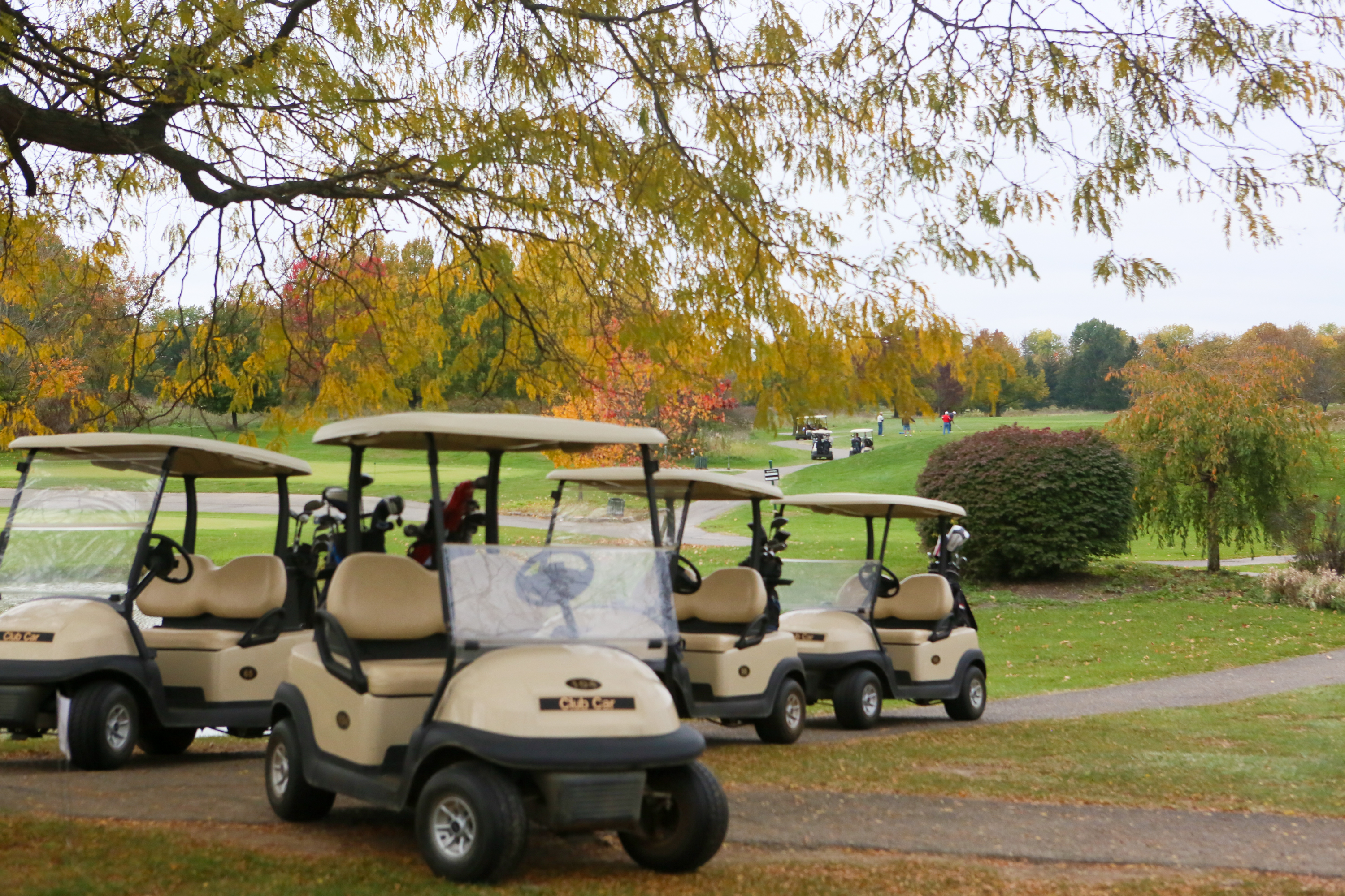 cleveland browns golf cart