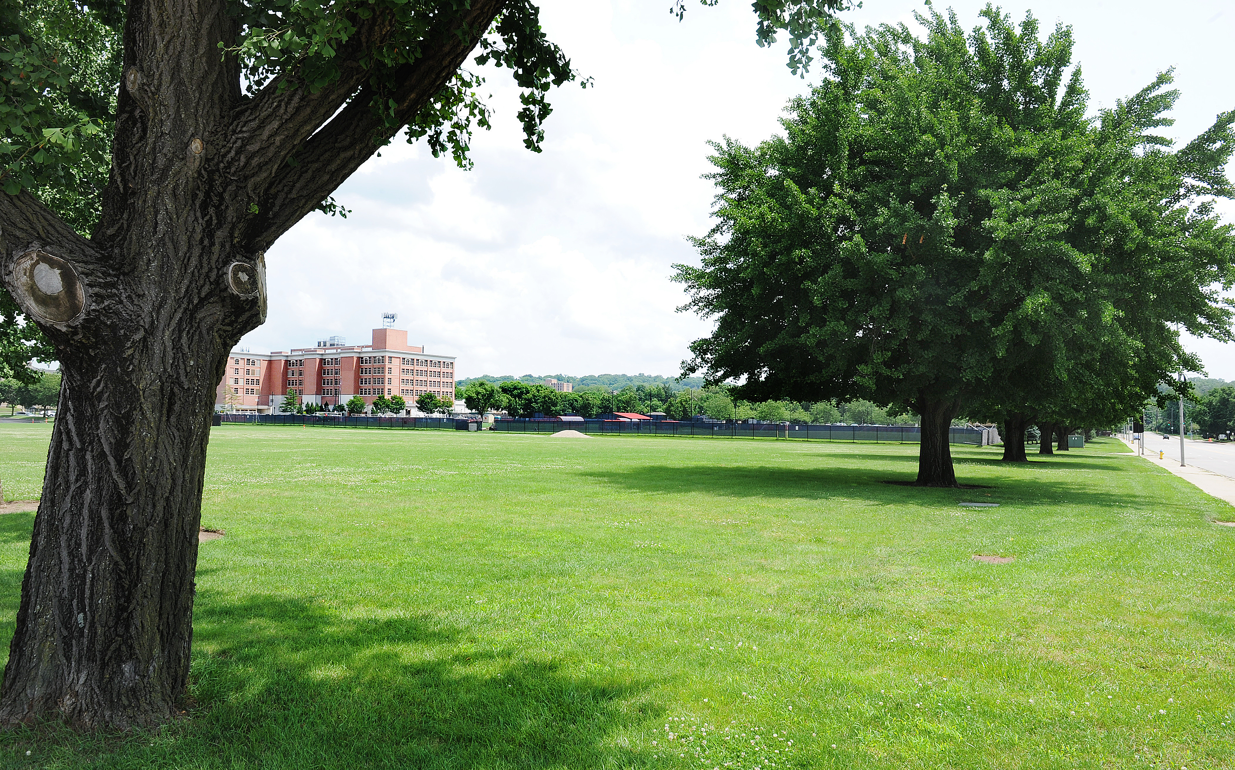 The University of Dayton’s proposal to build a new $40 million dollar performing arts center at the corner of South Main and East Stewart Streets was denied by the Dayton Plan Board. UD’s proposed development plan would remove five mature Gingko trees that the plan board said should remain. MARSHALL GORBY\STAFF