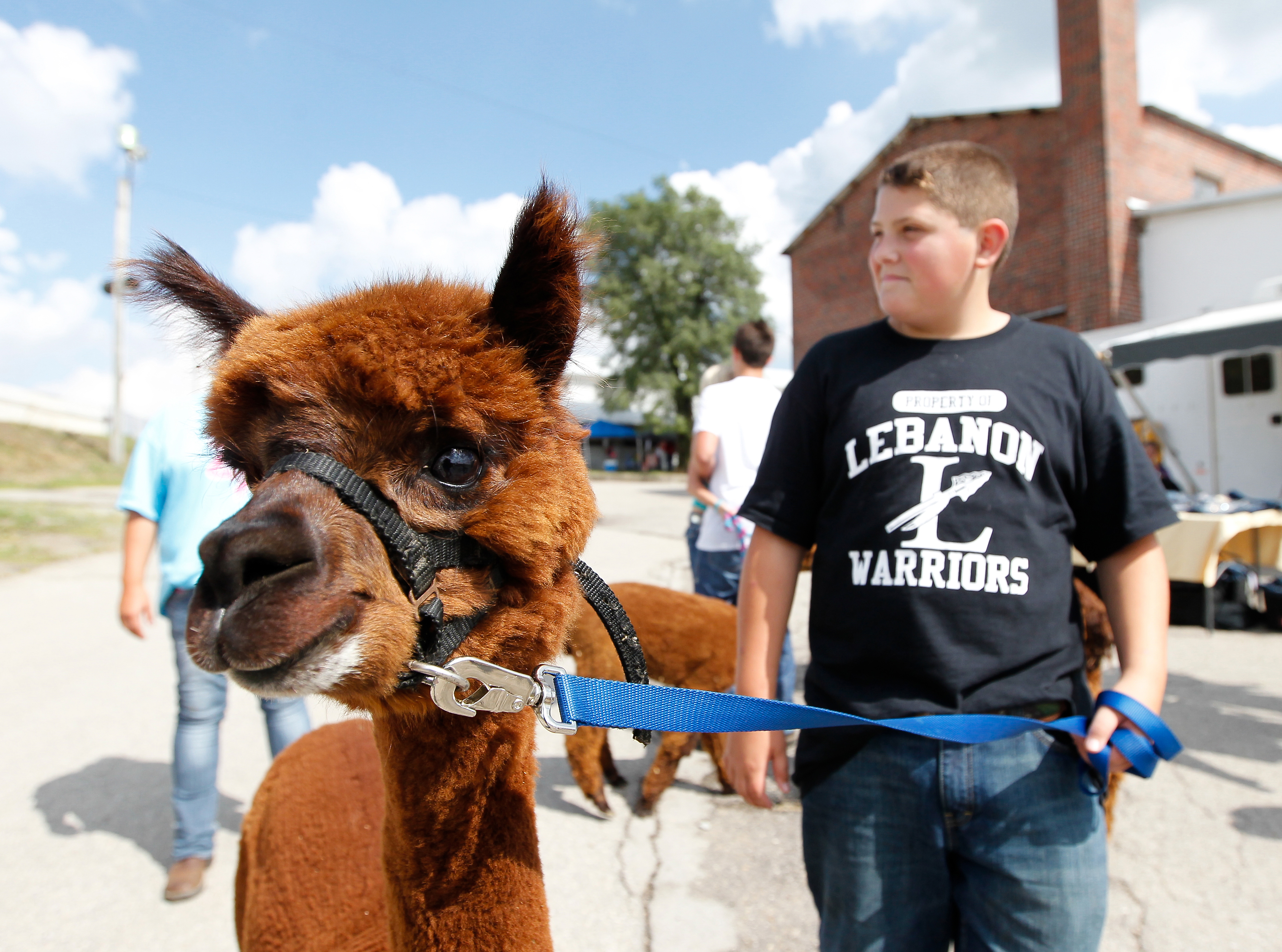 Bruce Booher walks with his Alpaca named Emma during the first day of the Warren County Fair Monday, July 14, 2014, in Lebanon, Ohio.  NICK DAGGY / STAFF