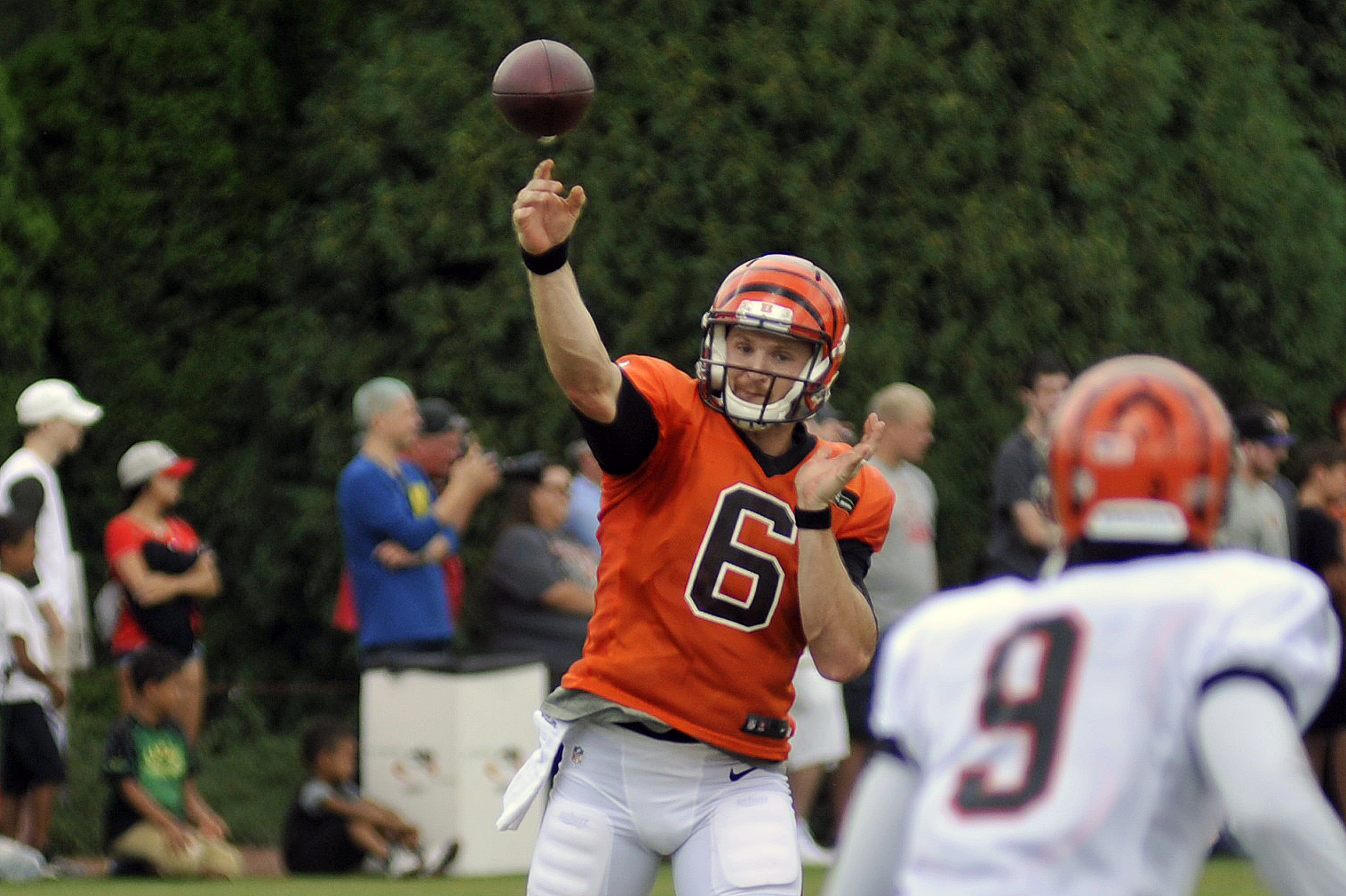 Bengals Roster 2016: Bengals claim former 49ers quarterback Jeff Driskel  off waivers - Cincy Jungle