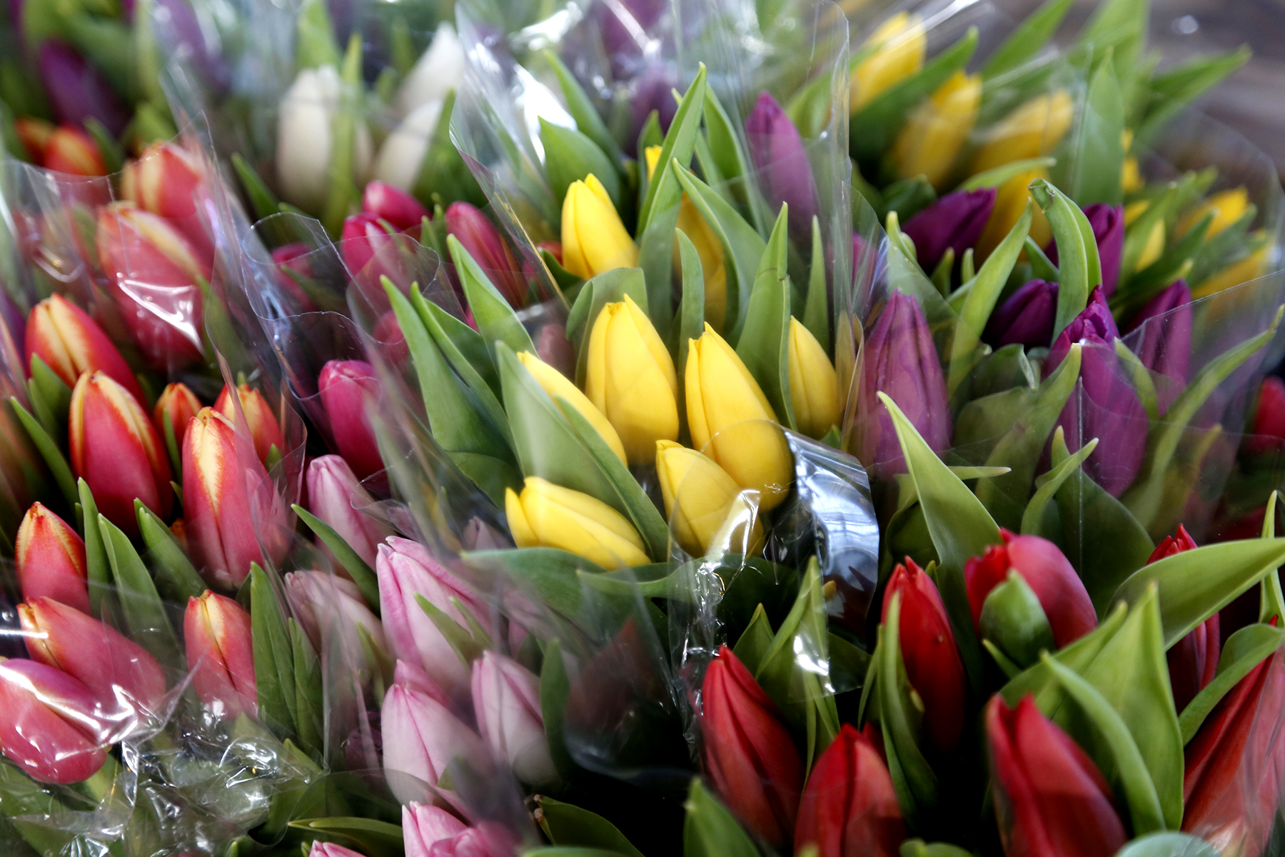 The Flower Man sells a variety of fresh flowers at the 2nd Street Market in downtown Dayton. LISA POWELL / STAFF