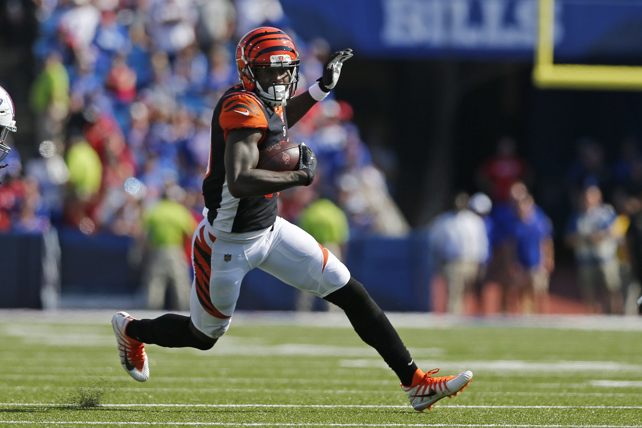 Cincinnati Bengals wide receiver Auden Tate (19) is brought down