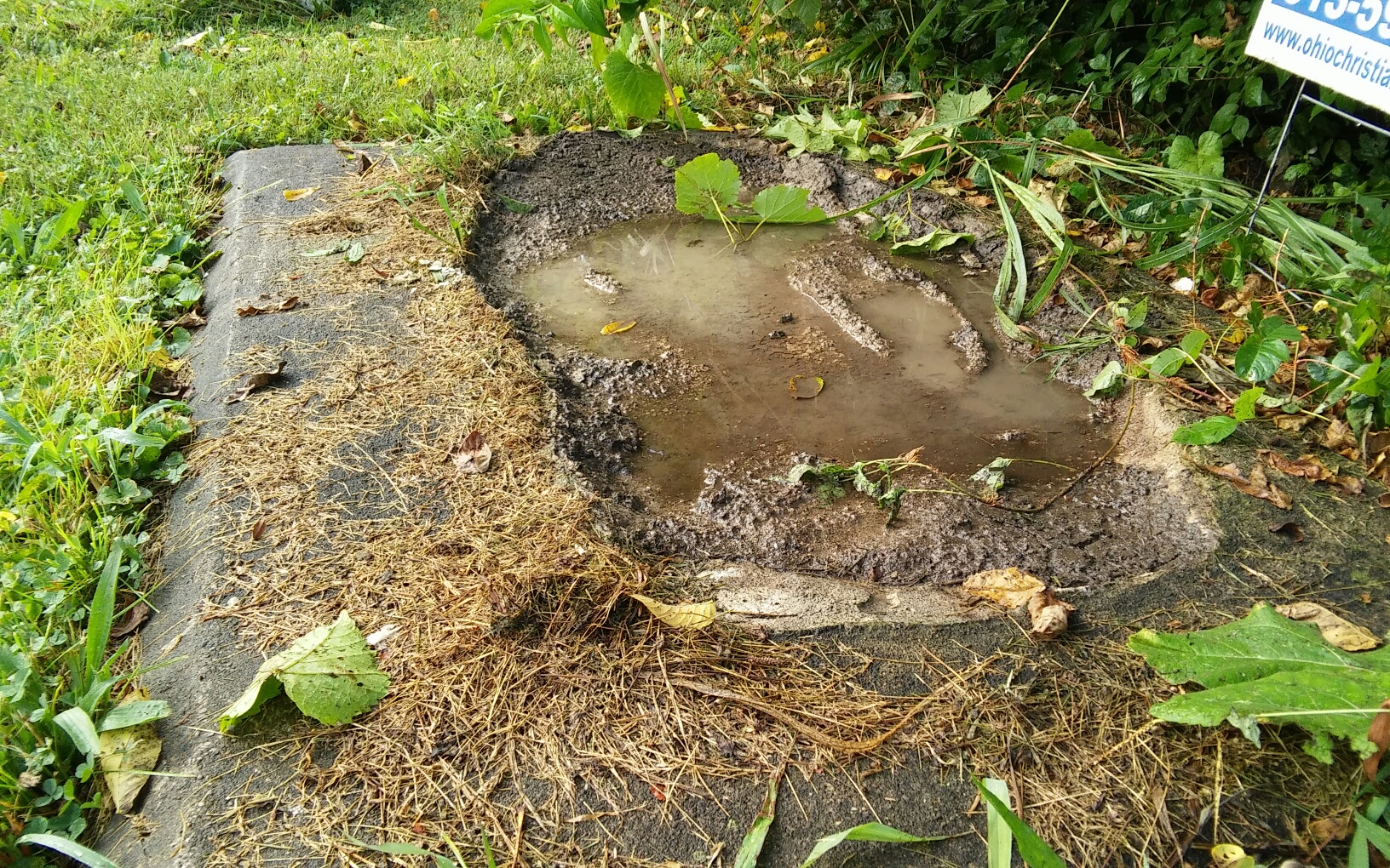 A Confederate monument in Franklin was removed overnight by the city.