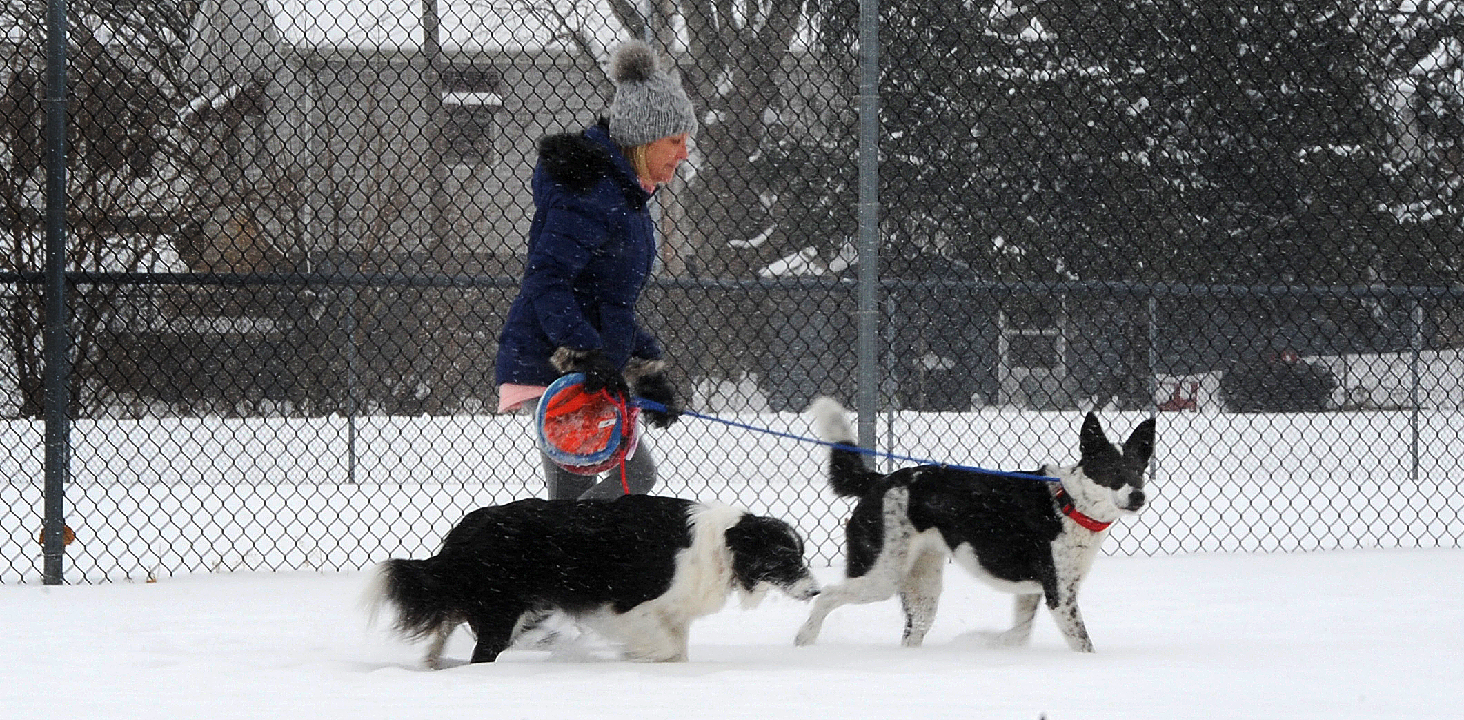 A woman walks her dogs near Shawnee Park in Xenia, on a snowy Wednesday, Feb. 10, 2021. Enjoying fresh weather with friends … maybe even walking a neighbor’s dog are ways to be kind. MARSHALL GORBY\STAFF