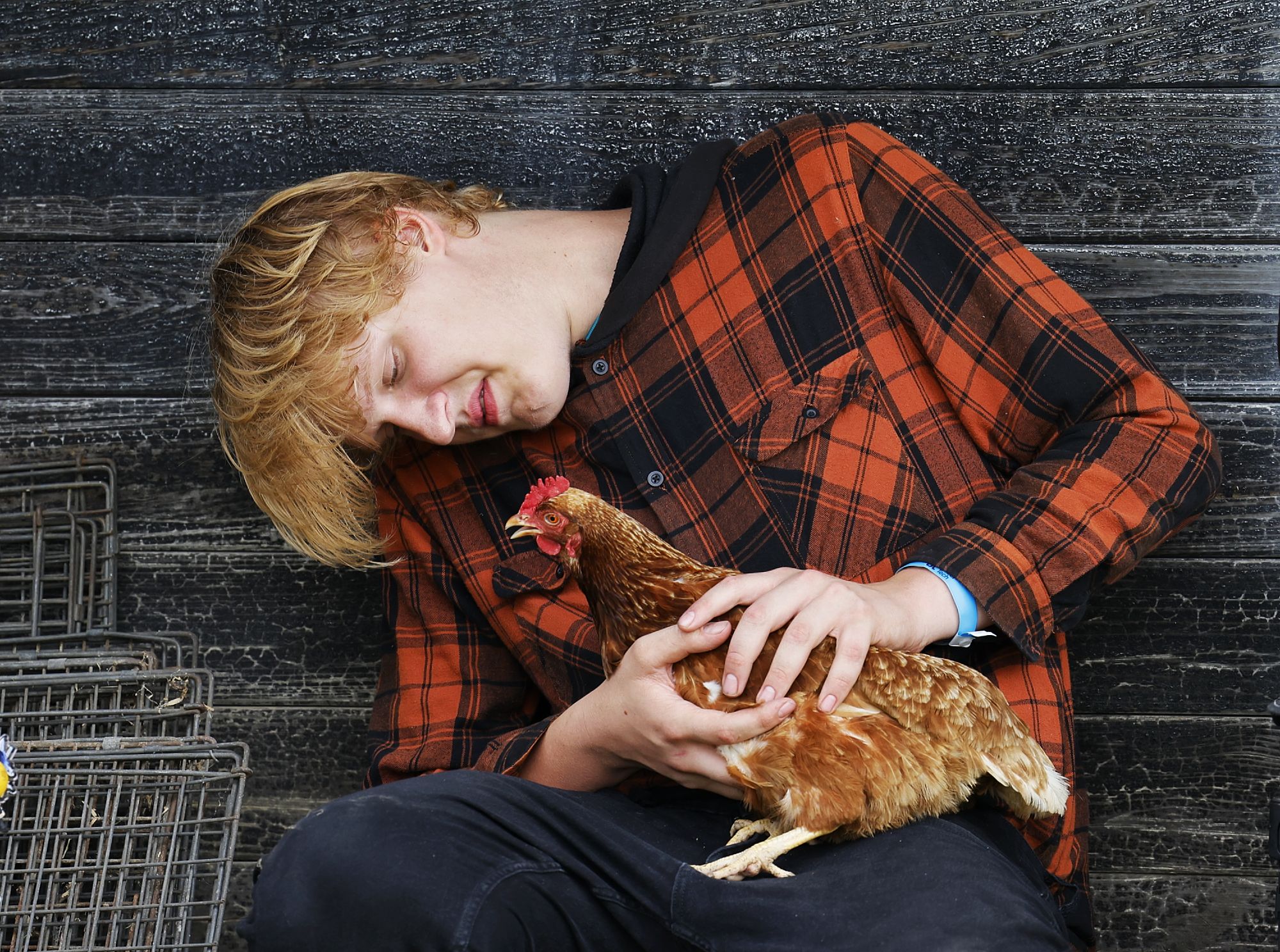 Hunter Bartels, 17, gets his chicken ready for showing at the Butler County Fair Monday, July 25, 2022 in Hamilton. NICK GRAHAM/STAFF