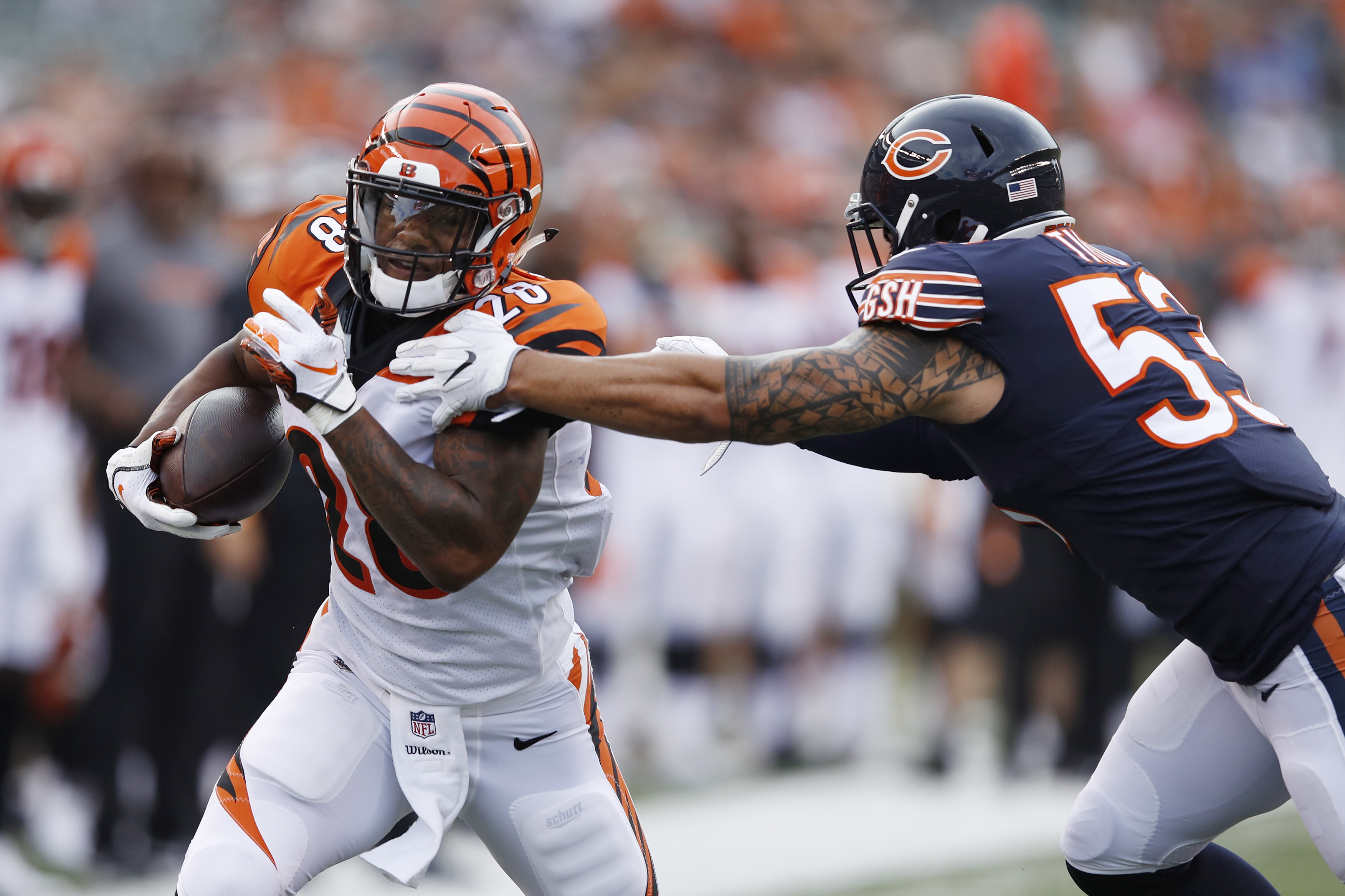 PRESEASON GALLERY: Chicago Bears at Cincinnati Bengals, Aug. 9