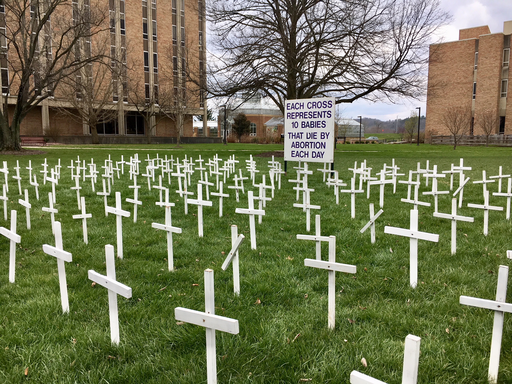 A Miami University student was captured on video recently destroying thid anti-abortion display dt Miami University Hamilton.