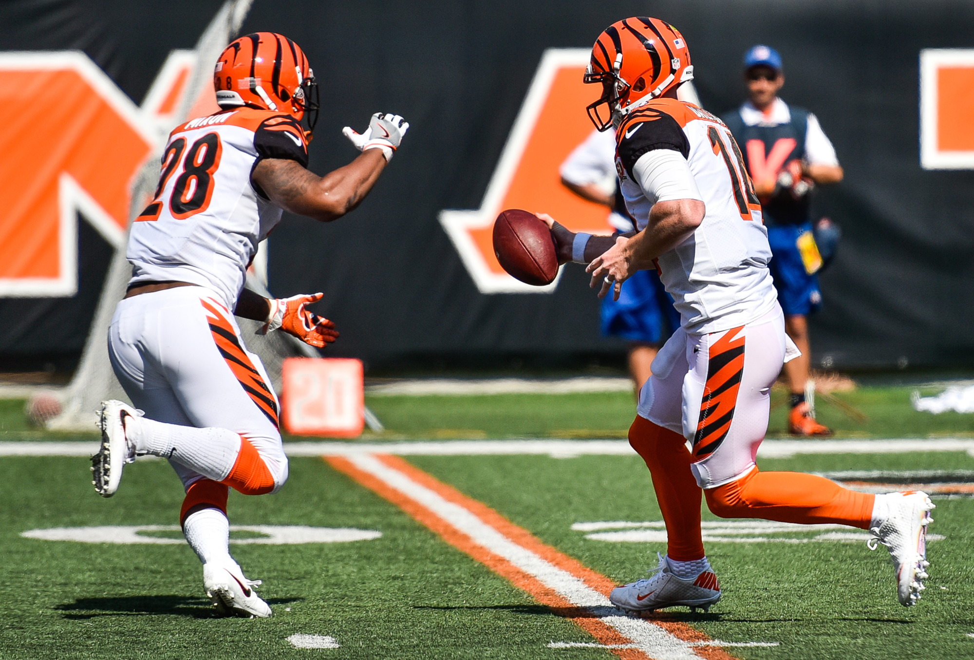 PFF power rankings grade Bengals better than you'd expect