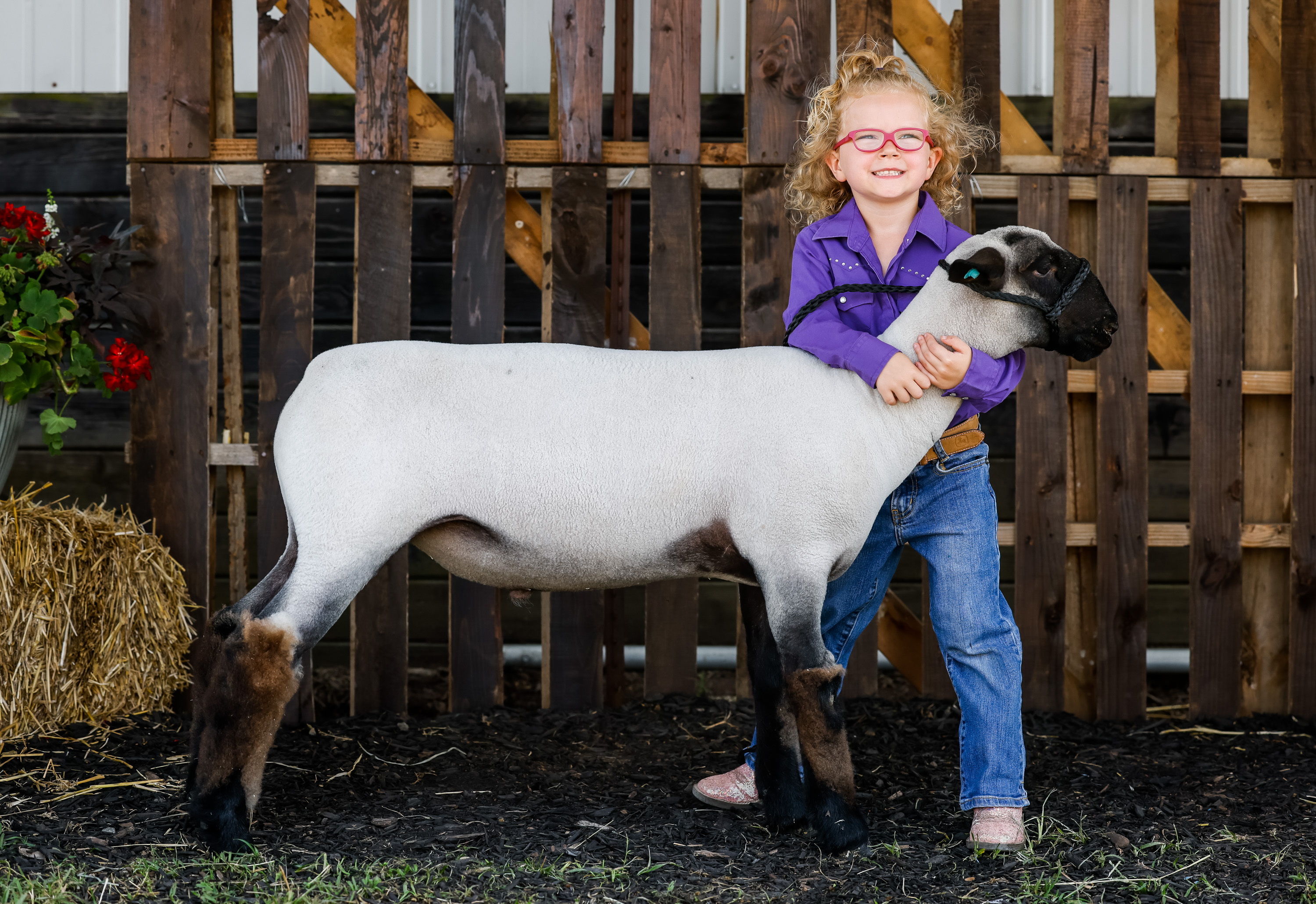 Ohio Fair Schedule 2022 Schedule Of Fairs In Ohio In 2022 Announced