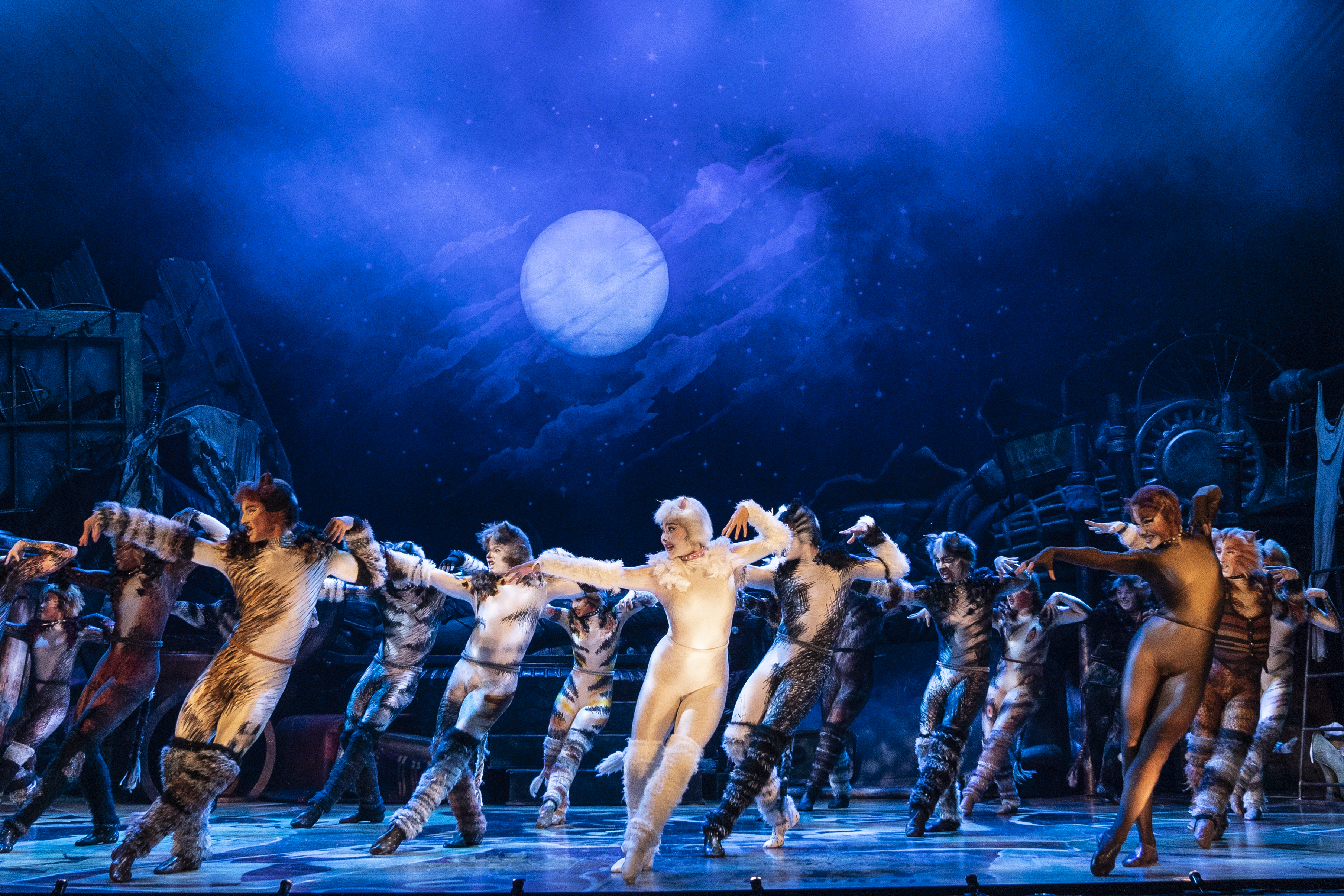 The cast of the national touring company of "CATS," which was presented by Dayton Live at the Schuster Center. CONTRIBUTED