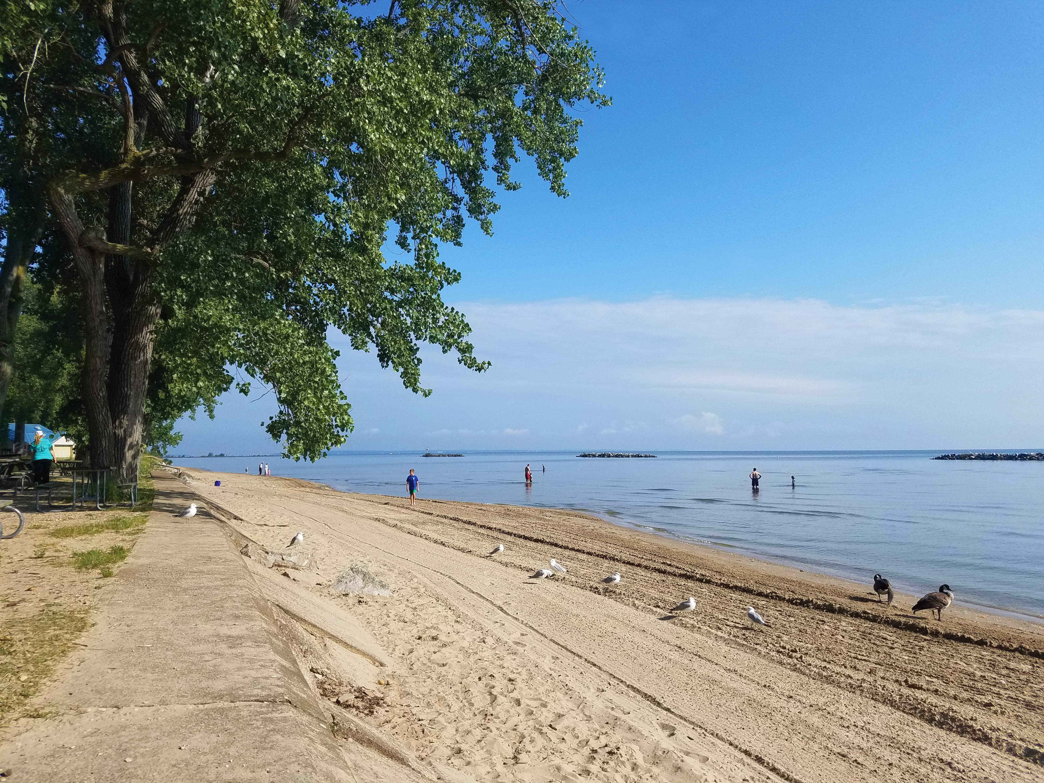 WORTH THE DRIVE: Lake Erie the perfect destination for socially distant  escape