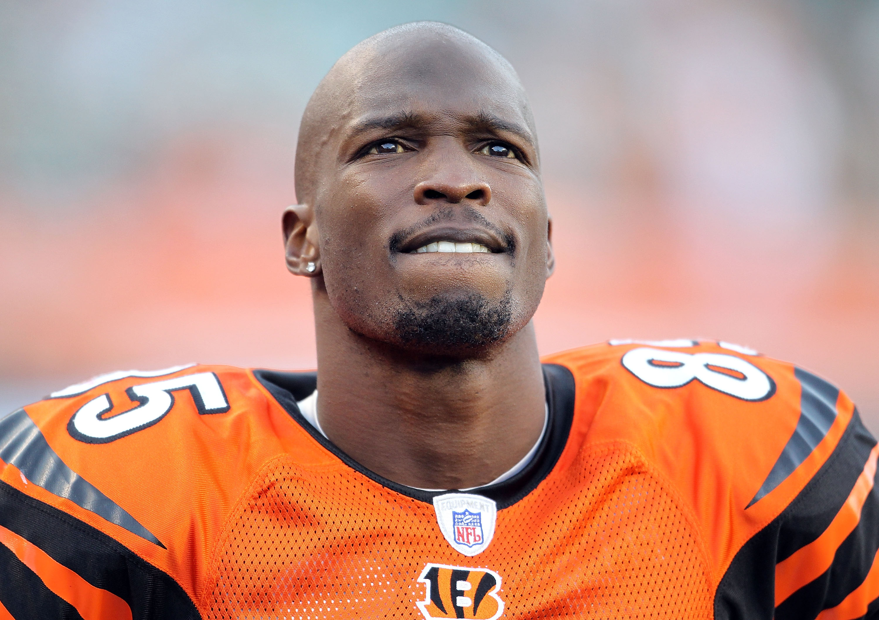 Cincinnati wide receiver Chad Ochocinco (85) during game action at