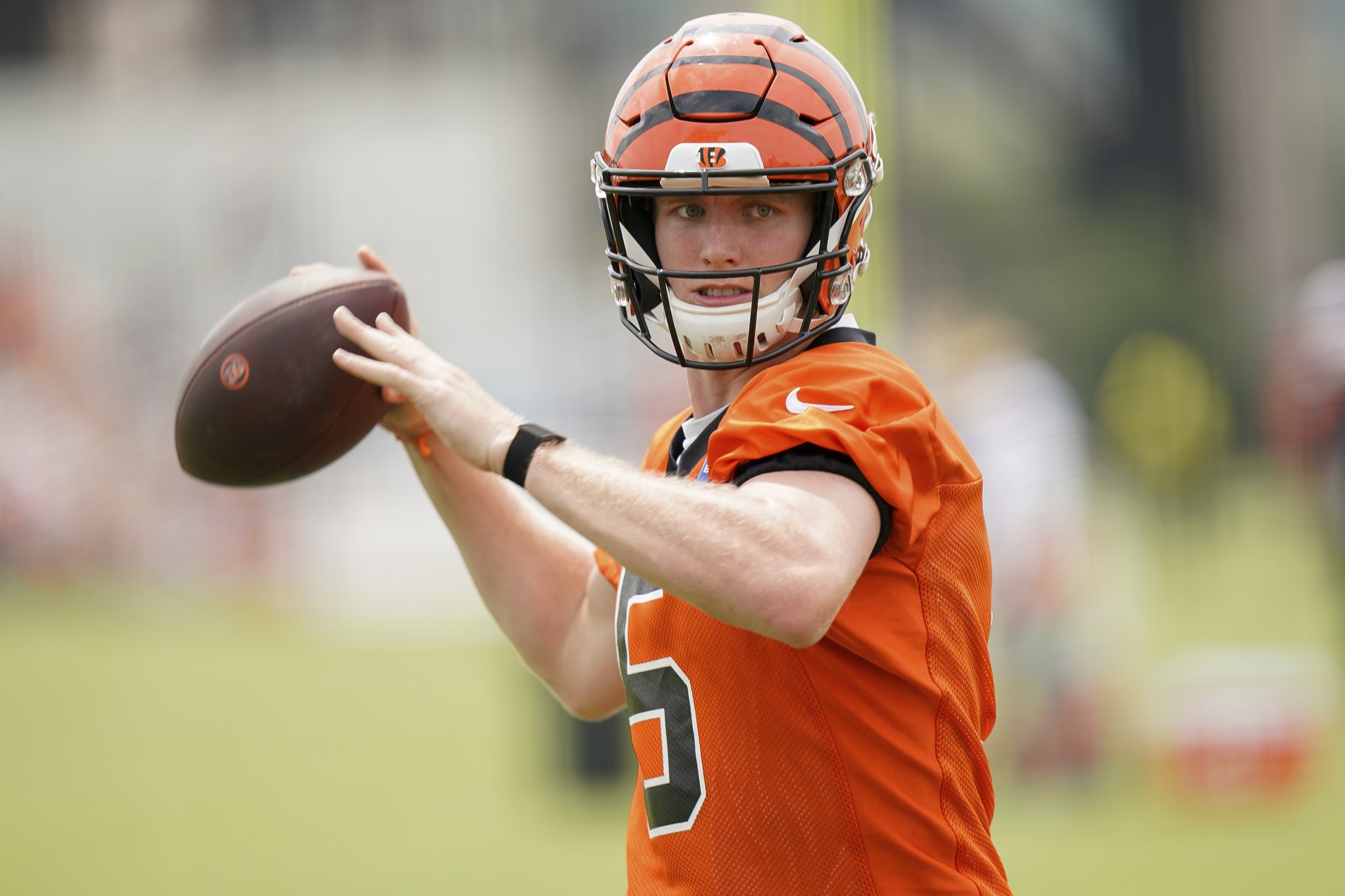 Bengals News (8/27): Ryan Finley among rookie quarterbacks to impress  during preseason - Cincy Jungle