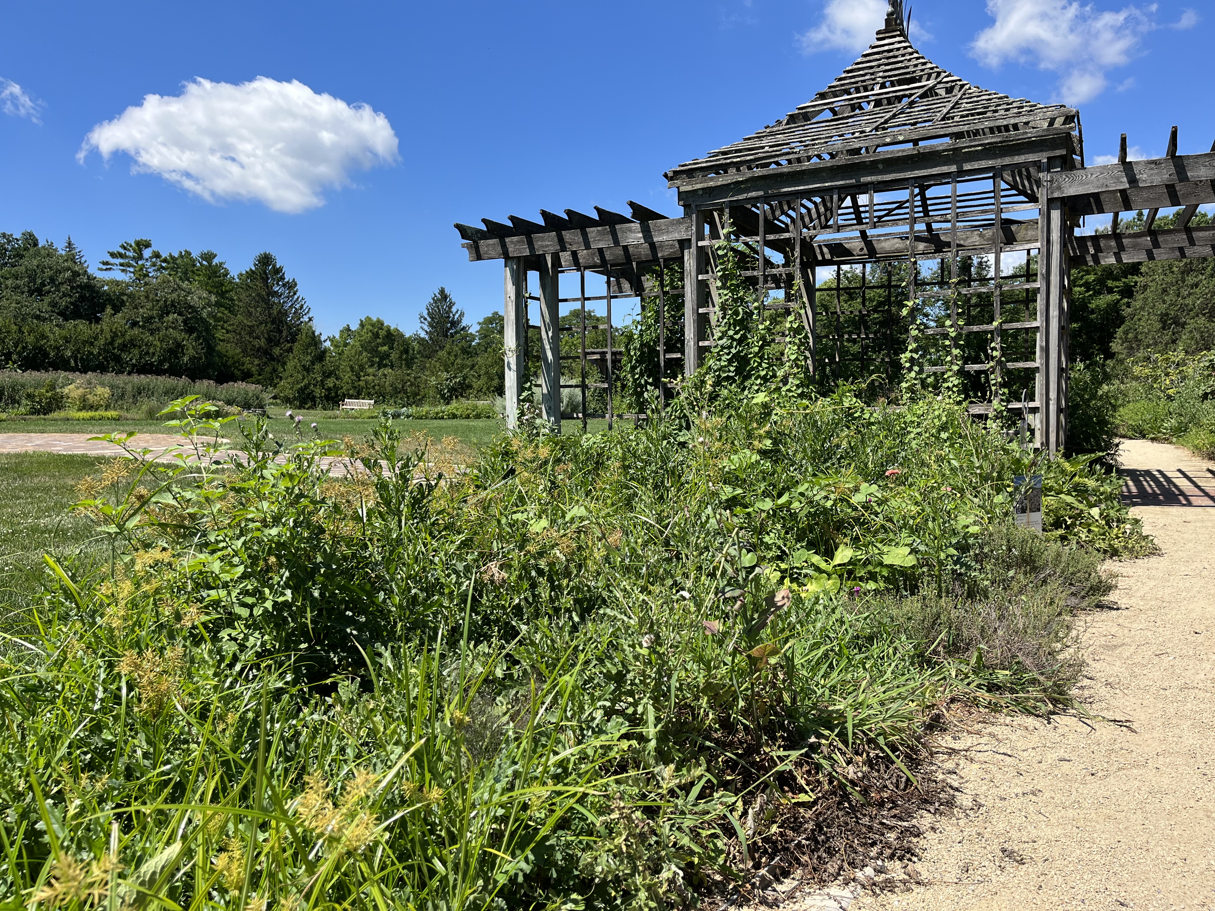 Garden at Cox Arboretum in rough shape as family and others blame a lack of volunteers