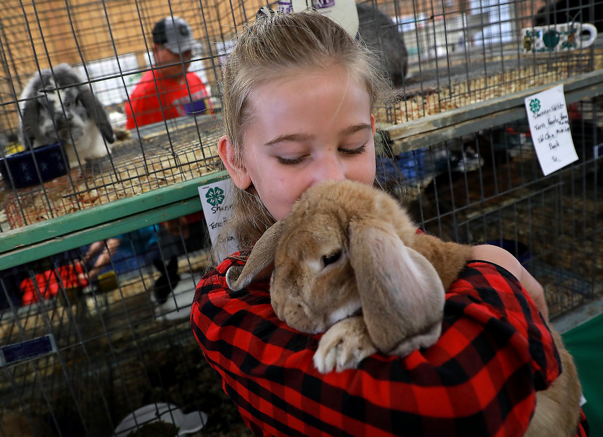 Rabbit competition jumps off at Champaign County Fair