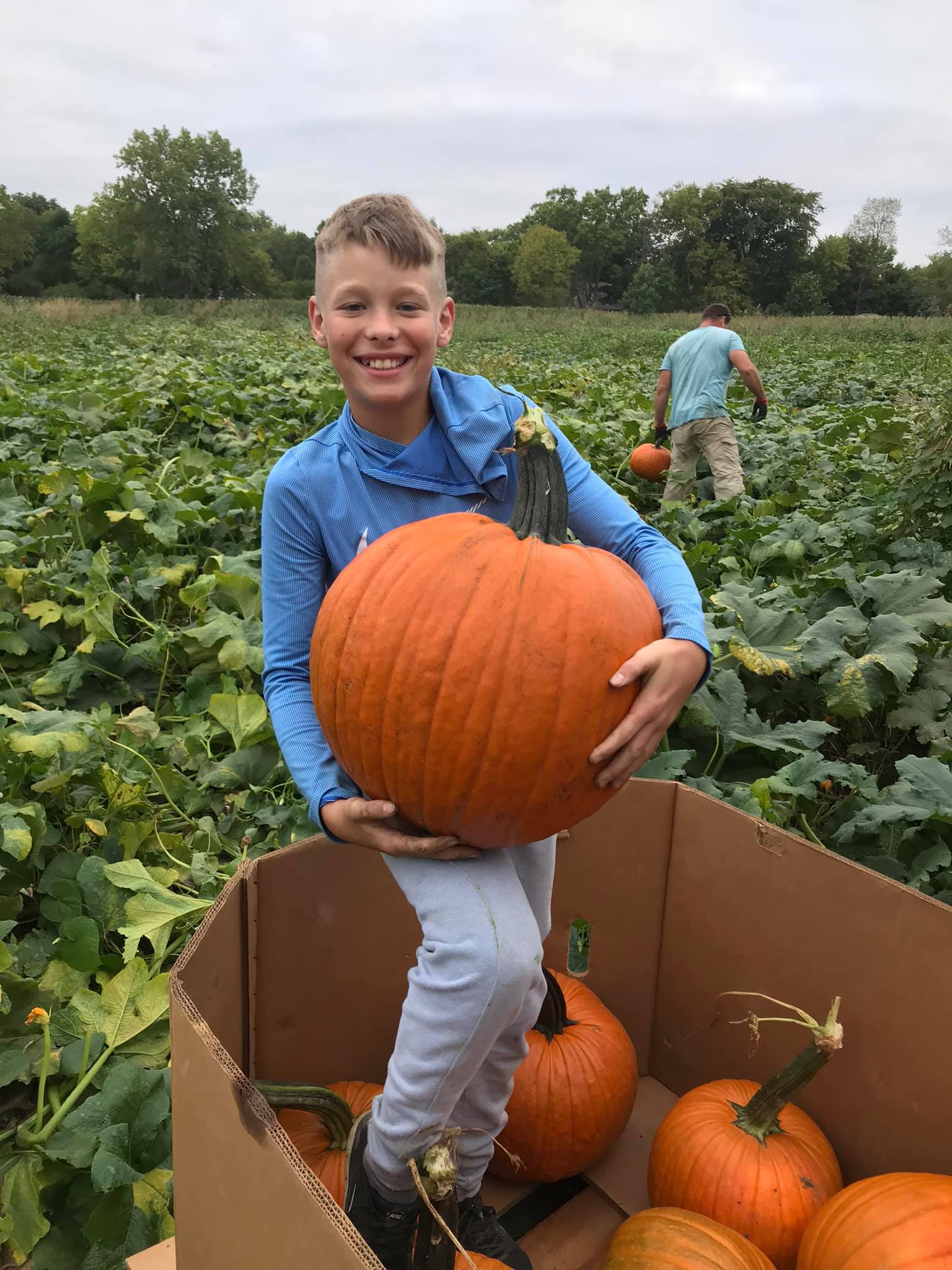 Customers pick out pumpkins at the McMonigle Farm Market.