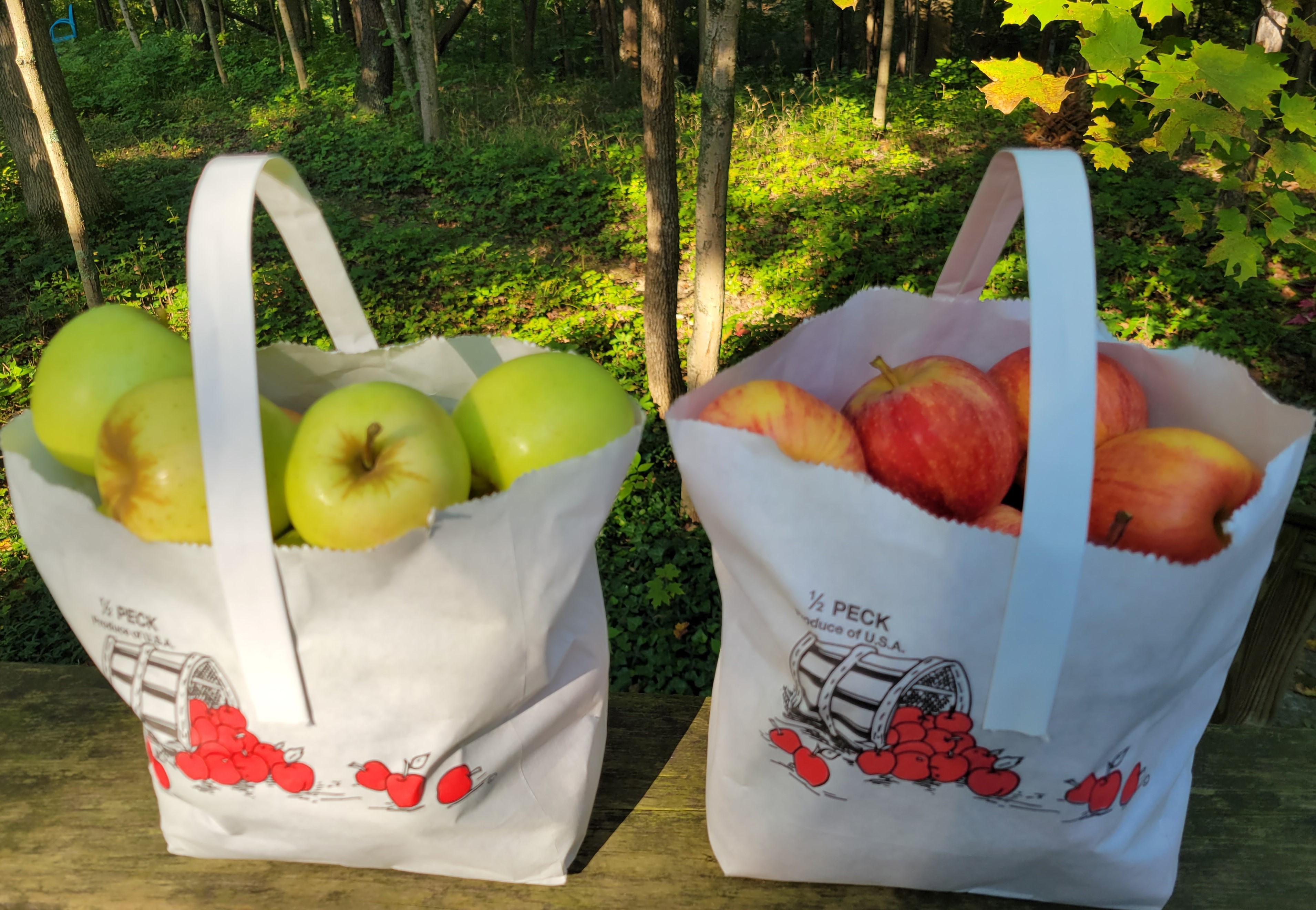 DIY School Supplies Apple Printed Lunch Bags  Inner Child Fun