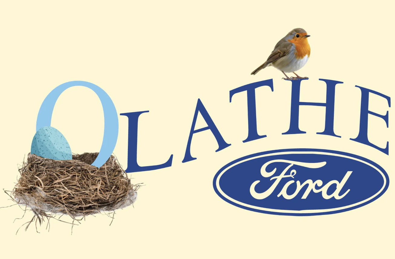 Baby robins move out after weeks of publicity for Ford store
