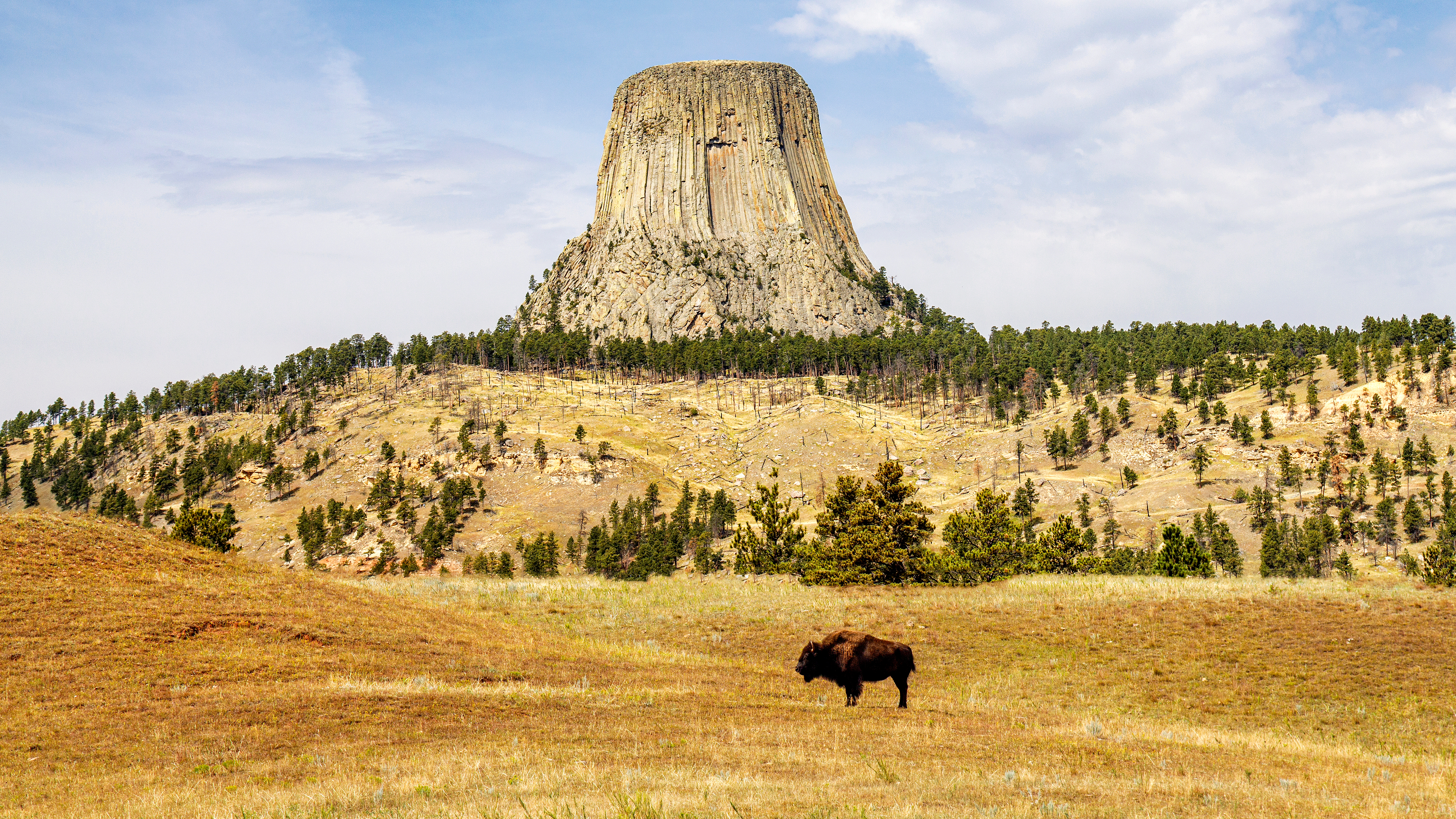 Wyoming Treasurer’s Office chooses new CIO