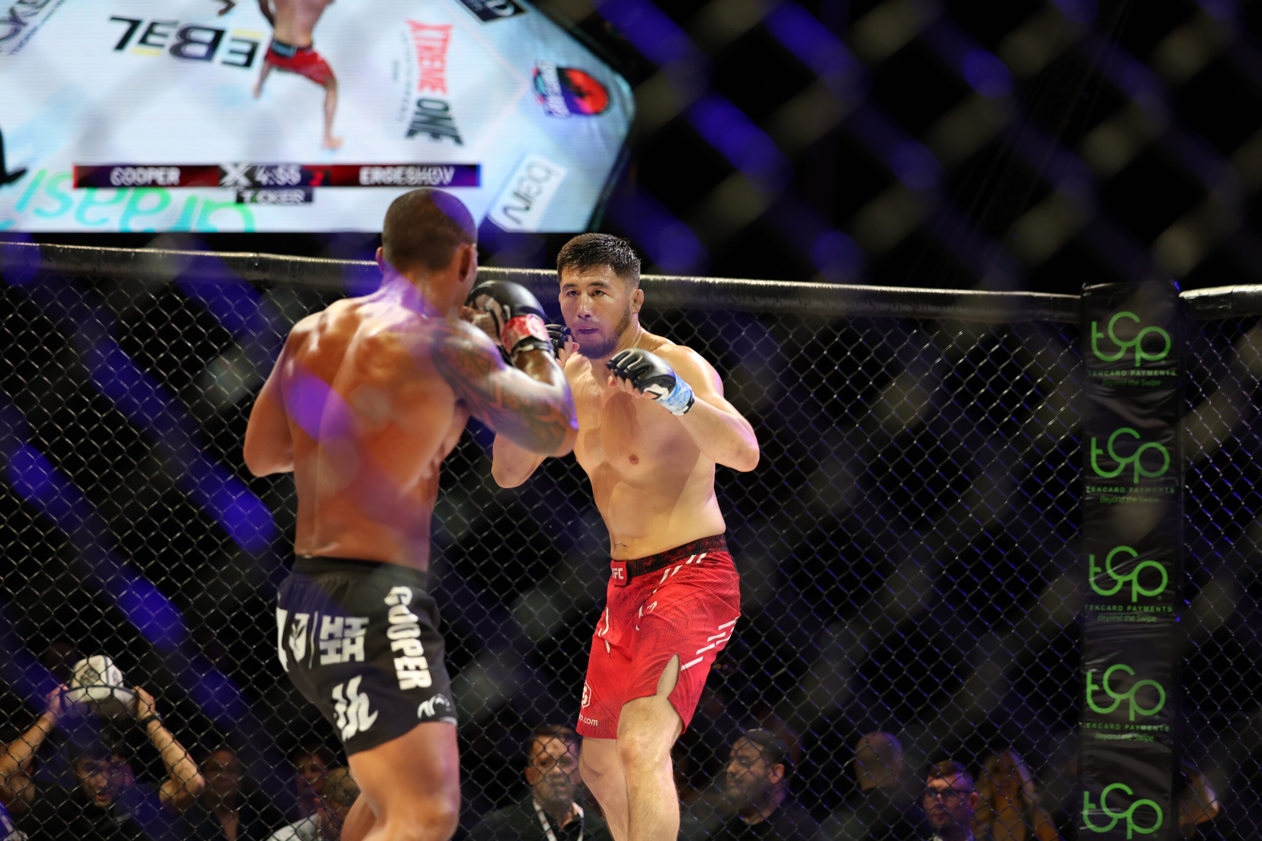 Grand Rapids MMA promoter alleges investor scheme wiped out more than $8M in company value