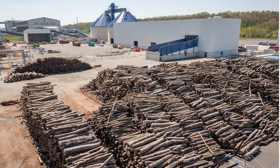 How trees can revolutionize auto parts and coolants - Automotive News
