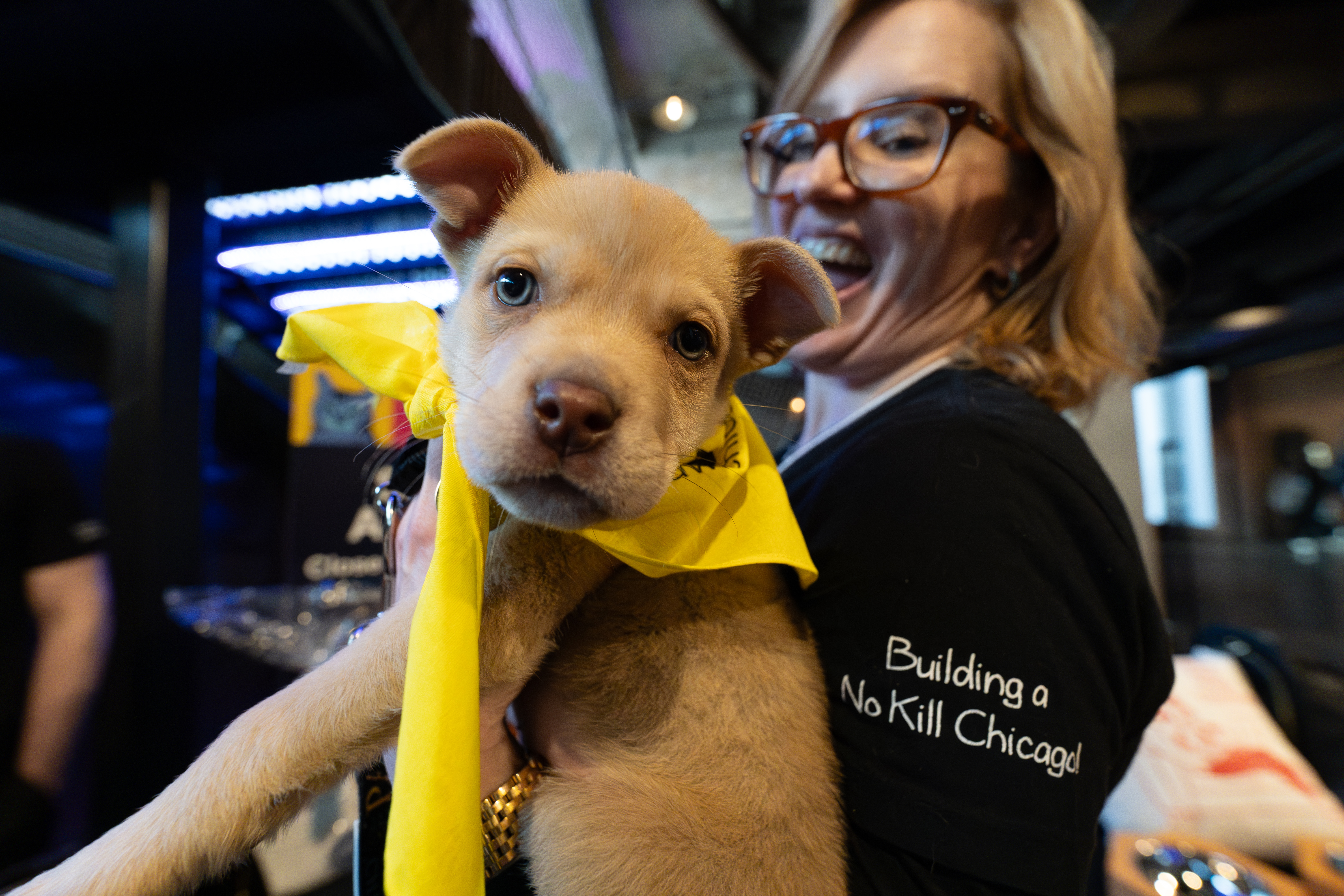 PAWS Chicago’s Animal Magnetism raises record $315,000 for homeless pets