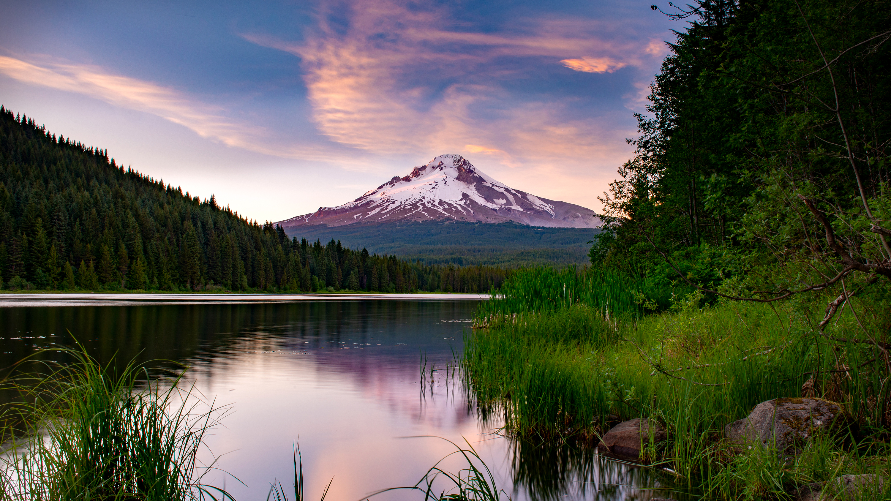 Morgan Stanley Investment Management launches ETF platform with 6 Calvert  funds - Pensions & Investments