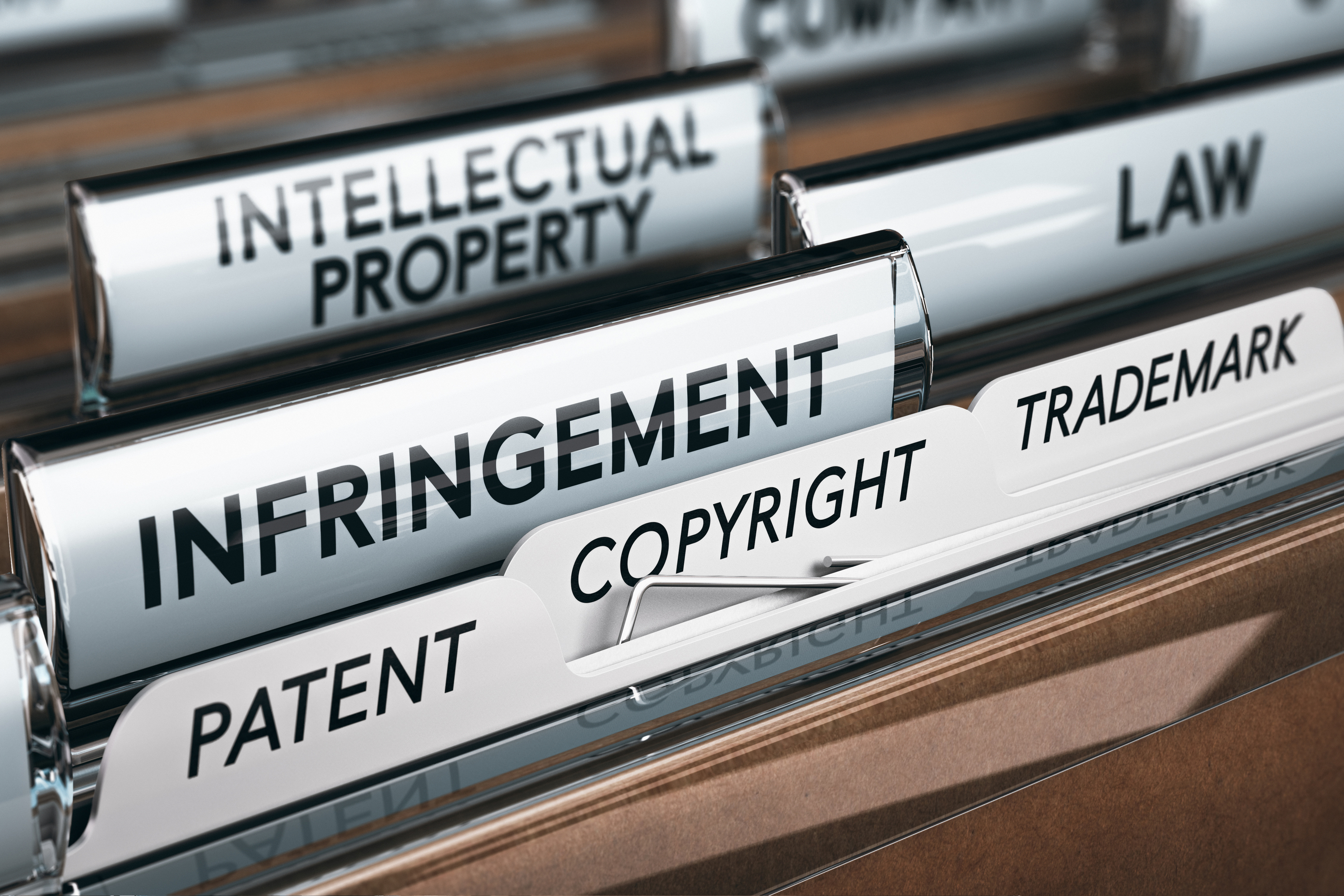 Snapshot of Trademark Infringement Litigation Service