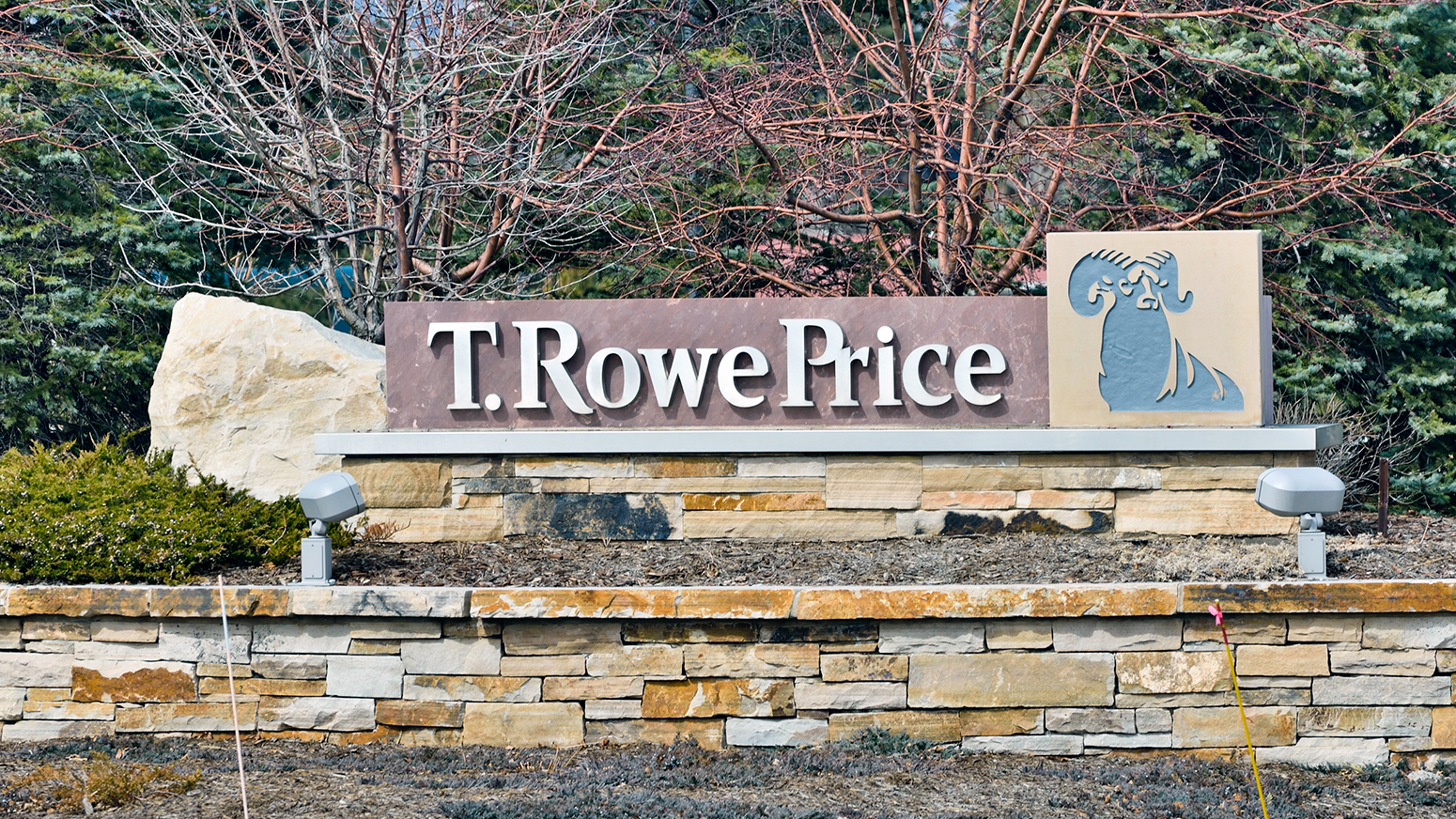 T. Rowe Price seeks to launch its first active crypto ETF - Pensions &  Investments