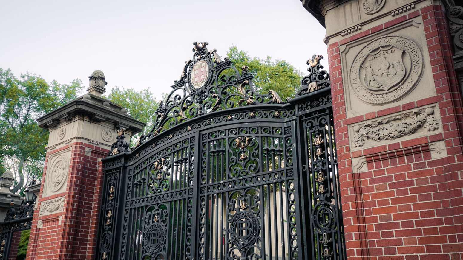 Brown University dumps BlackRock Japan ETF, boosts crypto ETF, new filing  reveals - Pensions & Investments