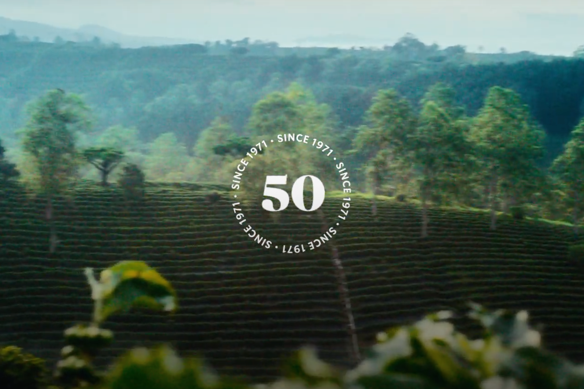 How Starbucks is celebrating its 50th anniversary - Ad Age