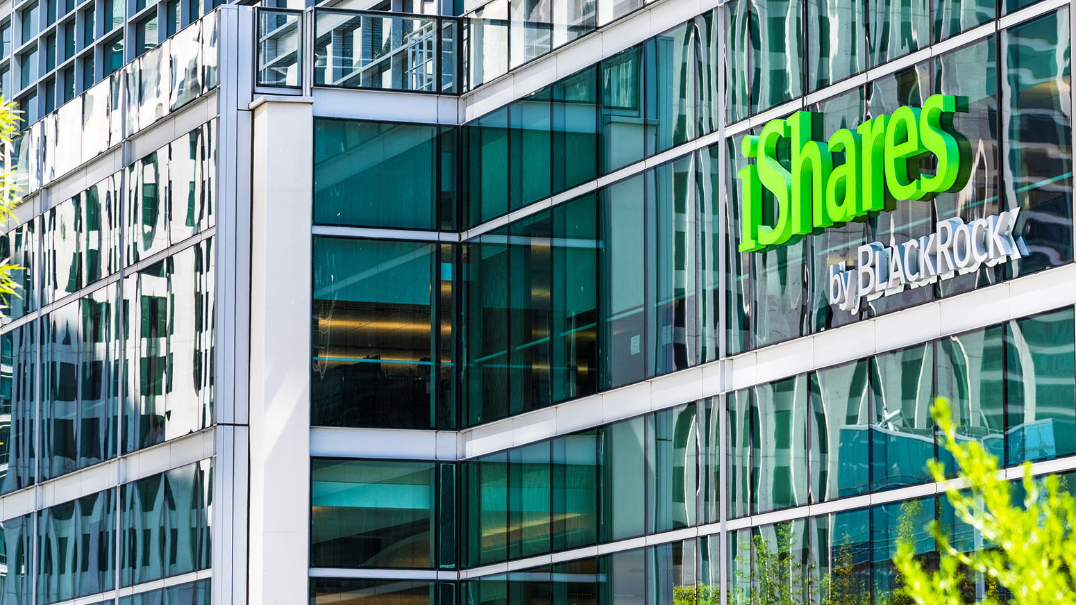 BlackRock’s new large-cap ETF excludes S&P 100 index companies