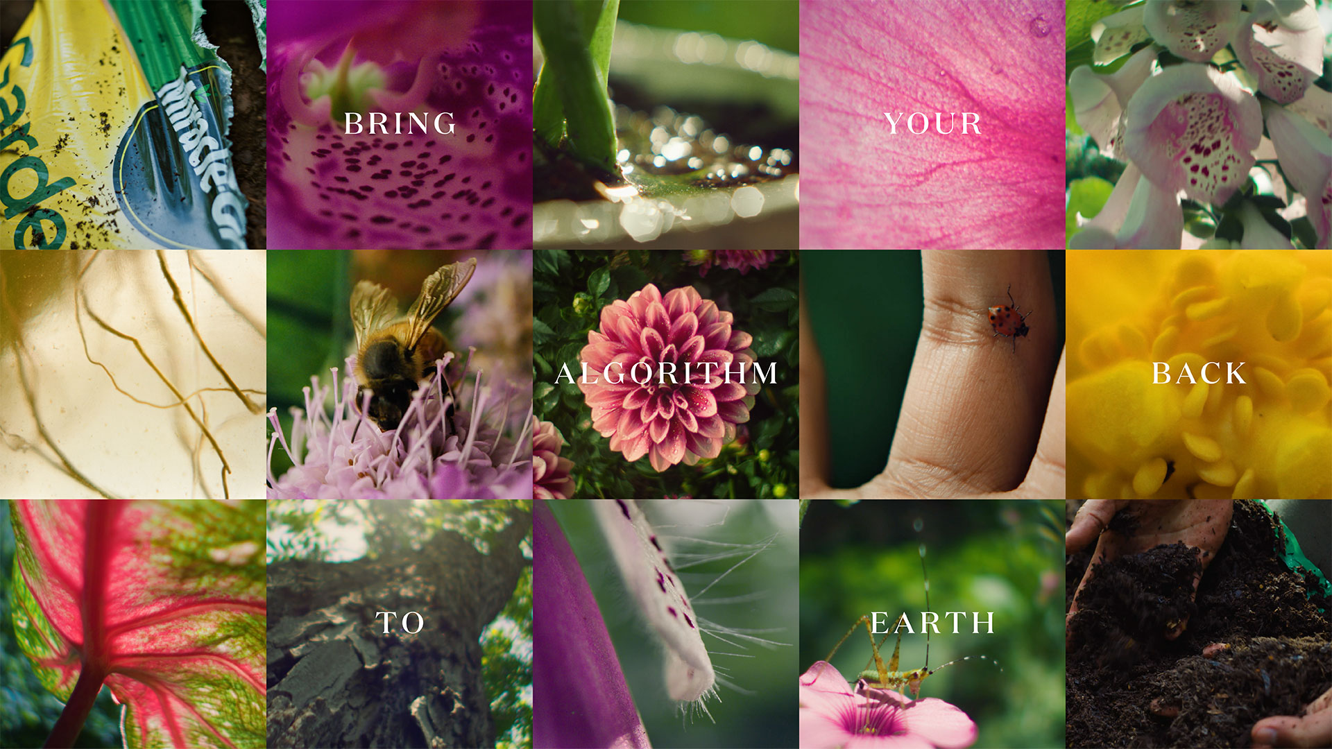 9 creative campaigns to know about today